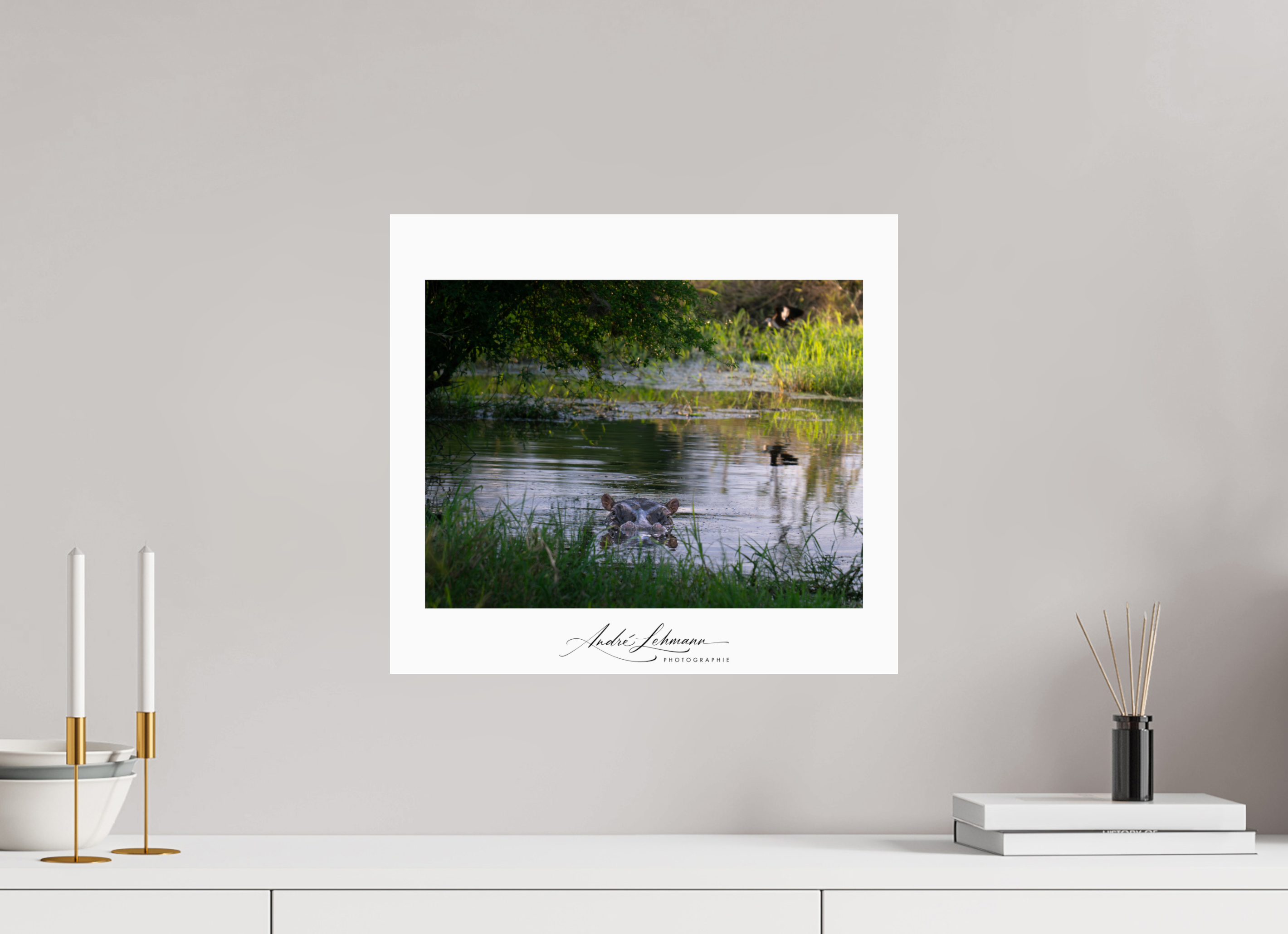 44.2 x 40 cm, Photo Print Under Acrylic Glass Hippo in the pond