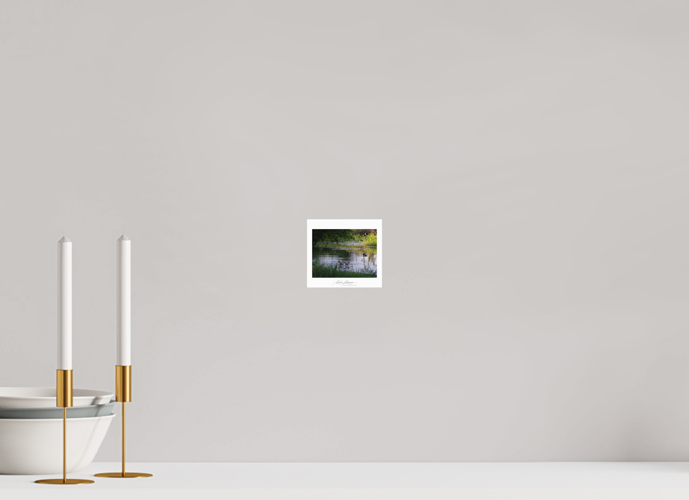 11 x 10 cm, Foto-Druck auf Alu-Dibond Hippo in the pond (Alu dibond)