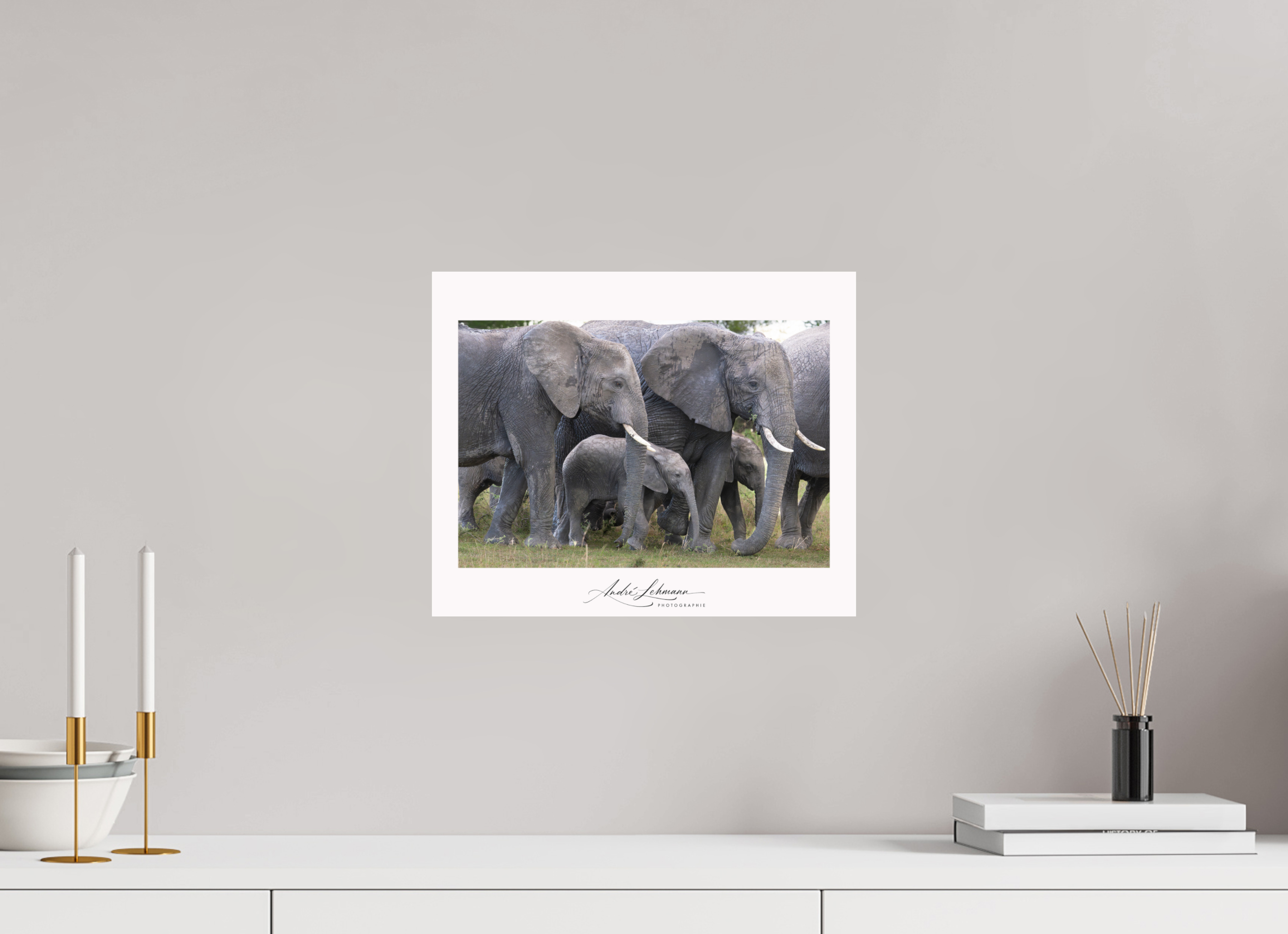 36.9 x 30 cm, Photo Print Under Acrylic Glass Elephant calf