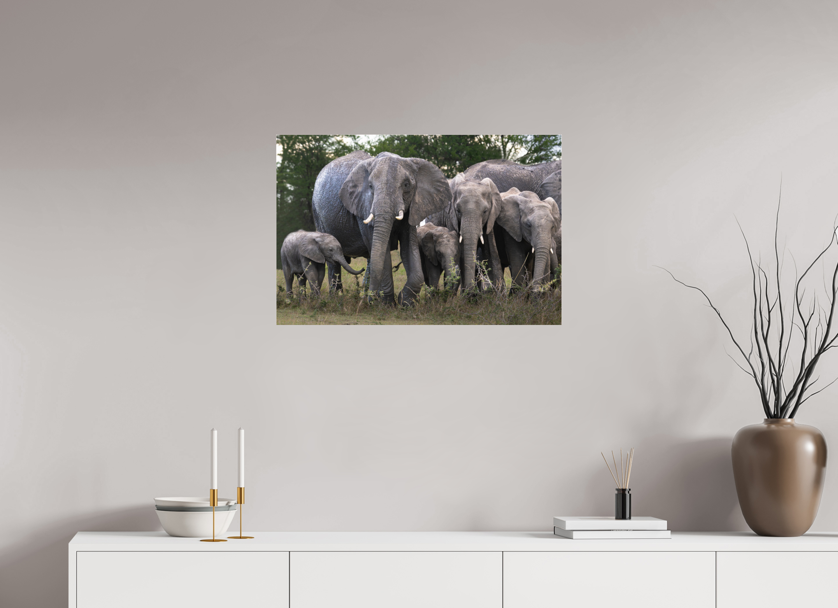 75 x 50 cm, Photo Print Under Acrylic Glass Happy Elephant family (no frame)