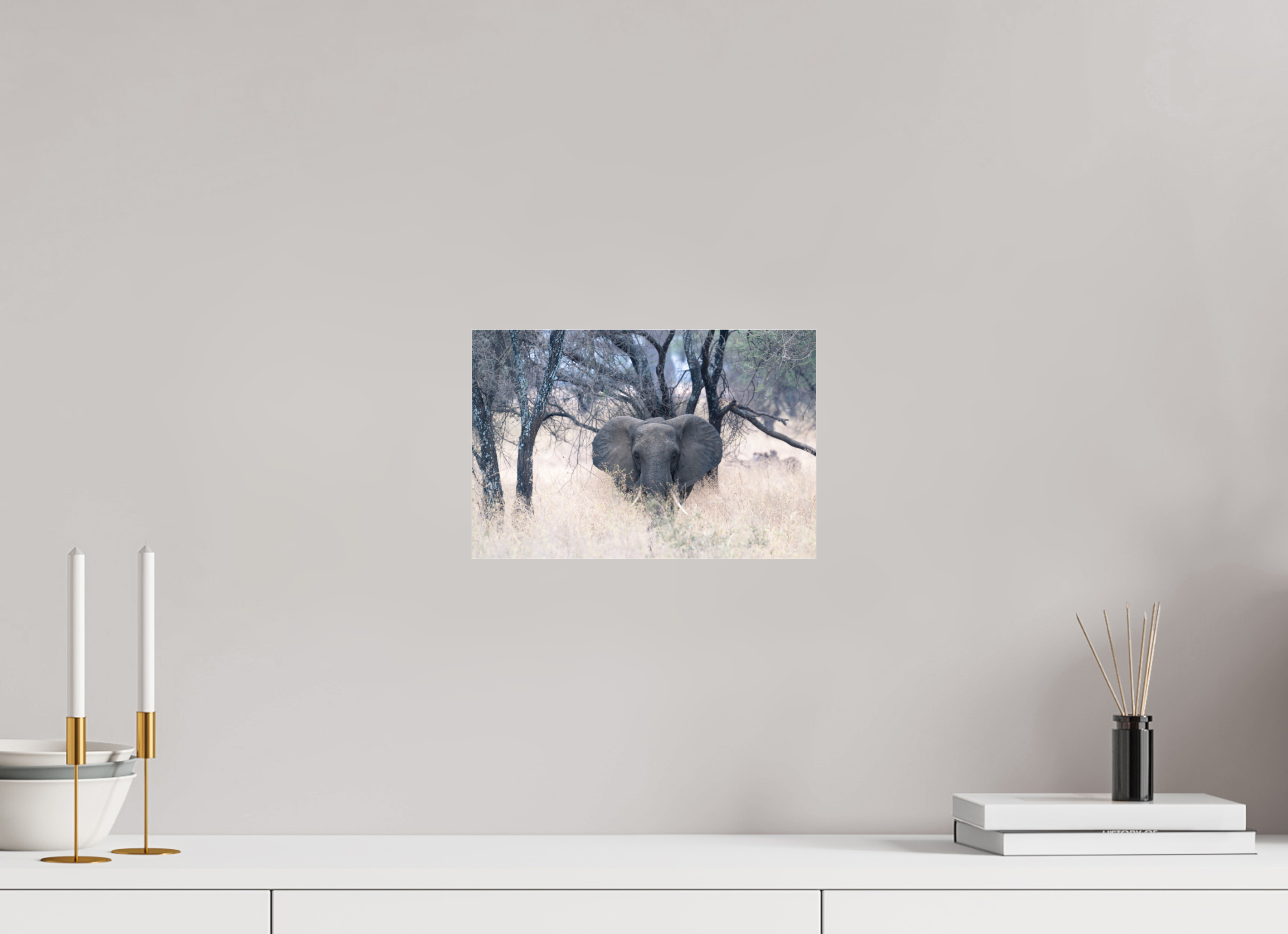 30 x 20 cm, Photo Print Under Acrylic Glass Elephant in the Savanna (no frame)