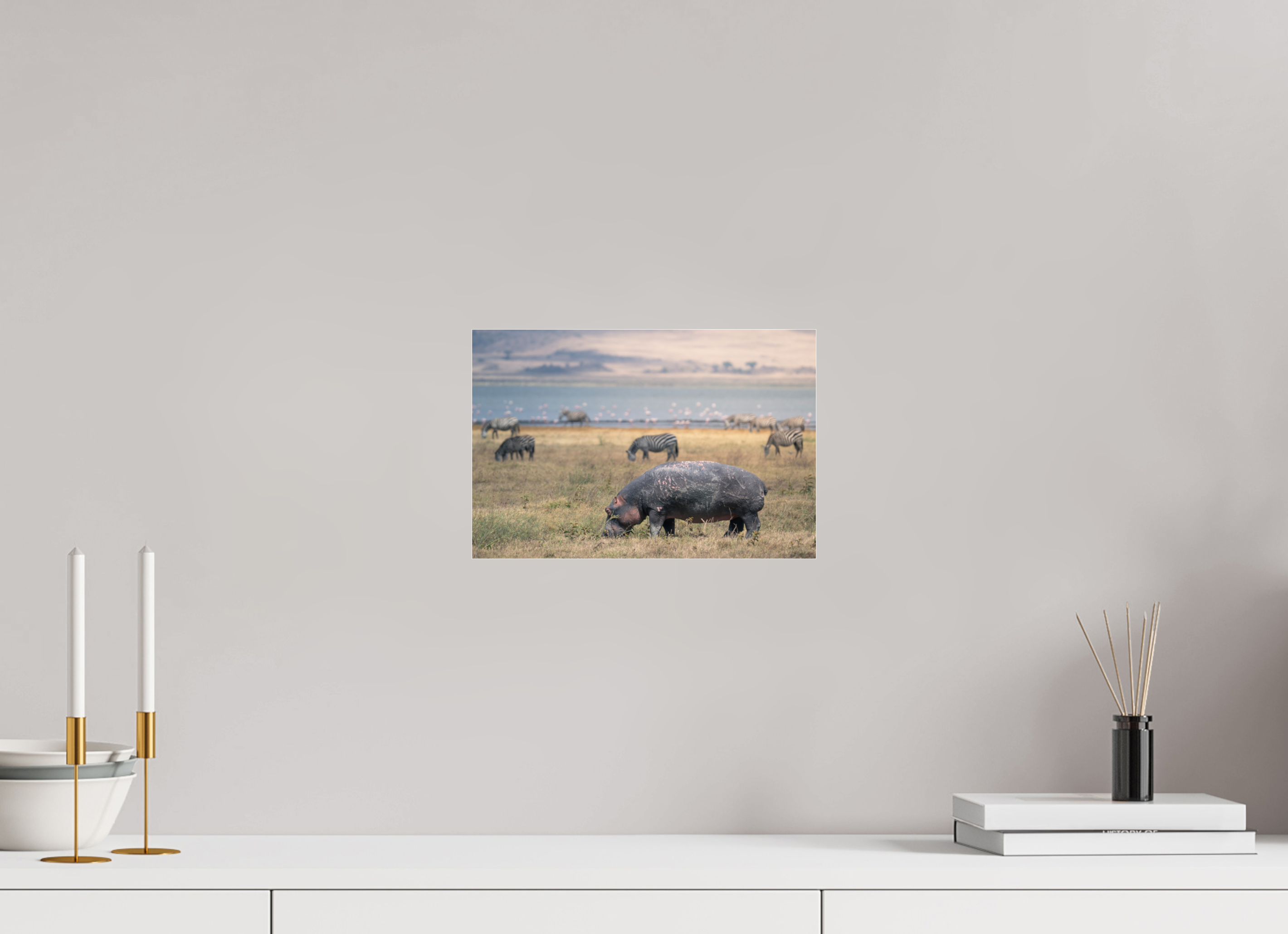 30 x 20 cm, Photo Print Under Acrylic Glass Hippo out of the water