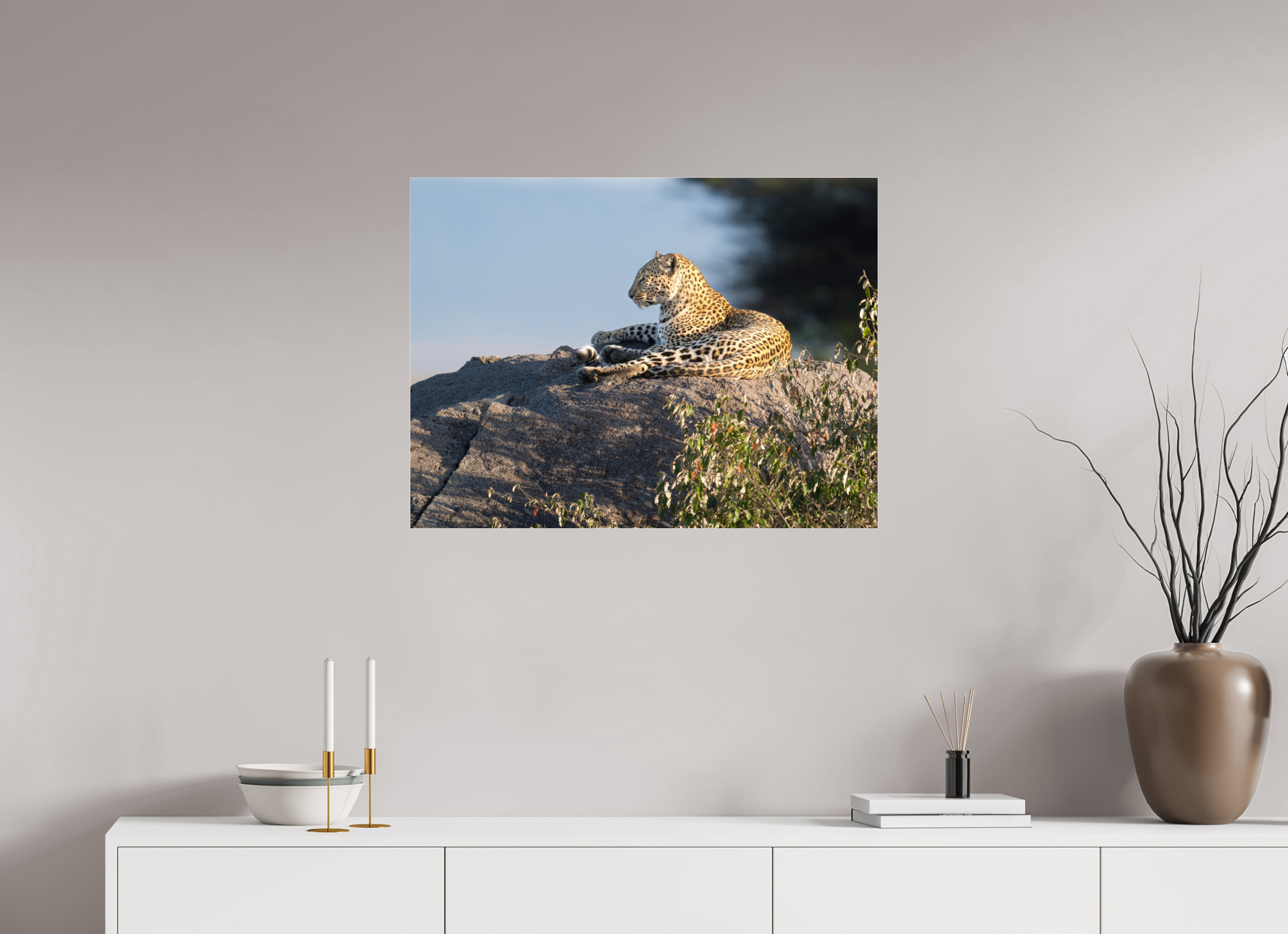 80 x 60 cm, Photo Print Under Acrylic Glass Leopard scanning the horizon