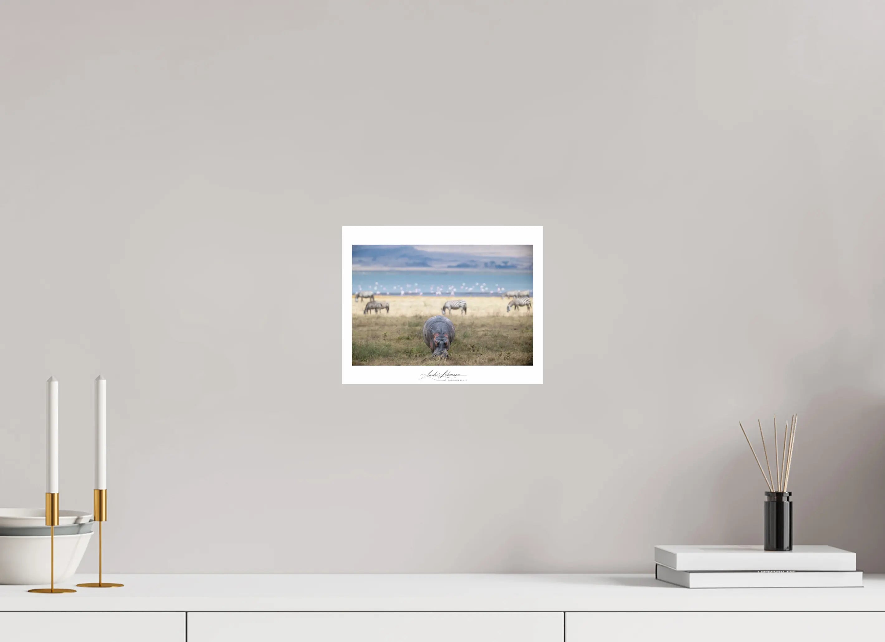 25.5 x 20 cm, Photo Print Under Acrylic Glass Hippo grazing