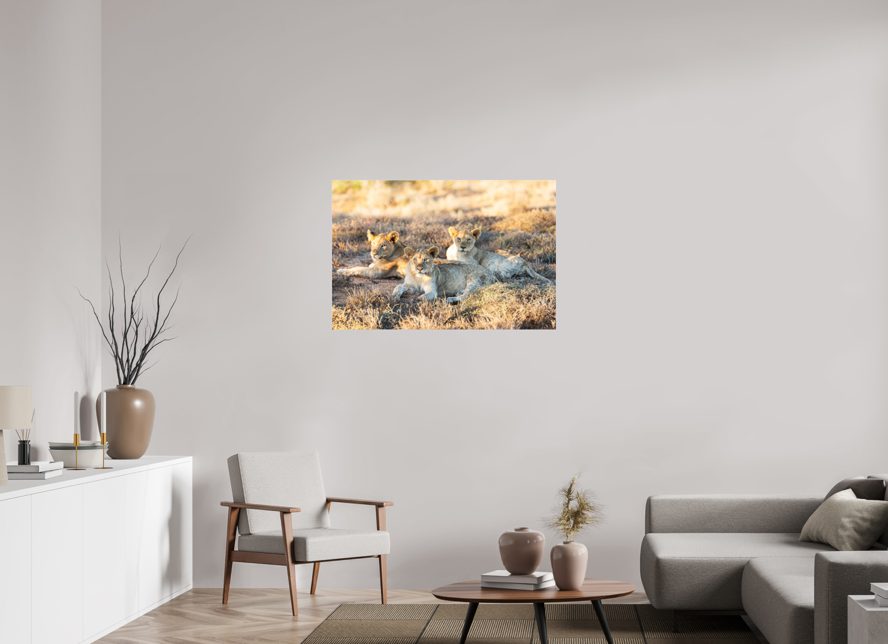 105 x 70 cm, Photo Print Under Acrylic Glass Lion cubs (no frame)