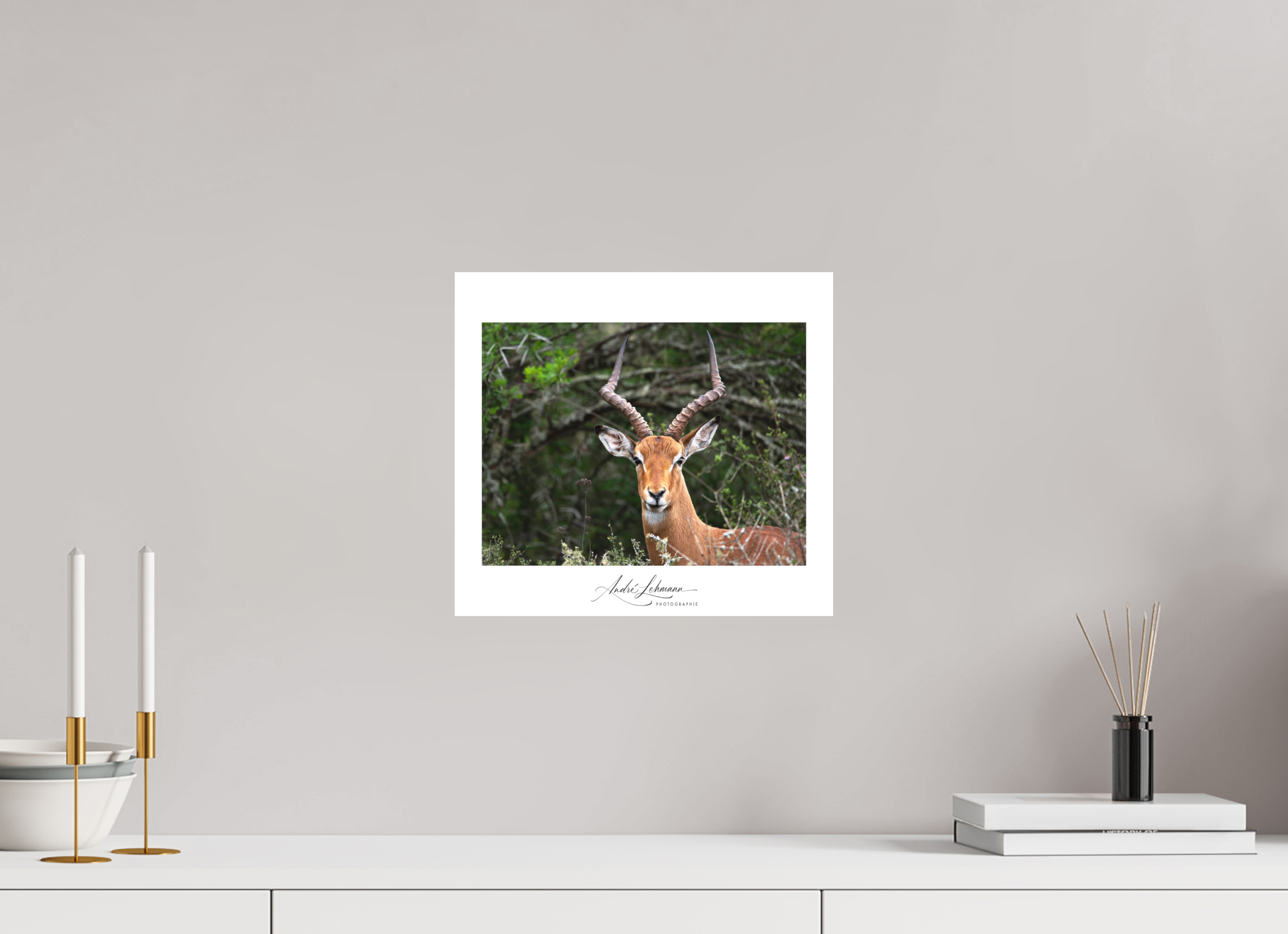33 x 30 cm, Foto-Druck auf Alu-Dibond Impala (Alu Dibond)