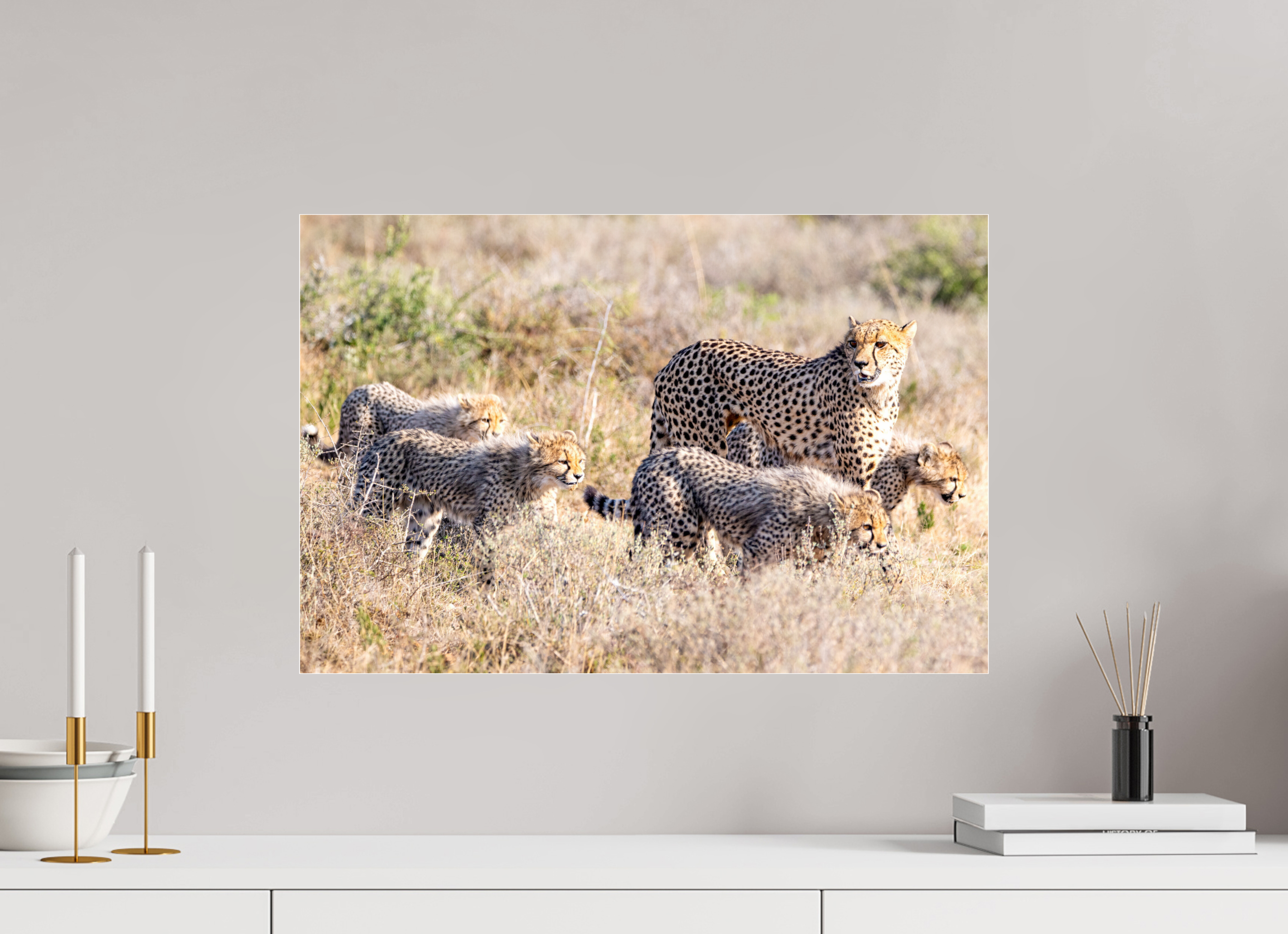 60 x 40 cm, Photo Print Under Acrylic Glass Cheetah and her cubs