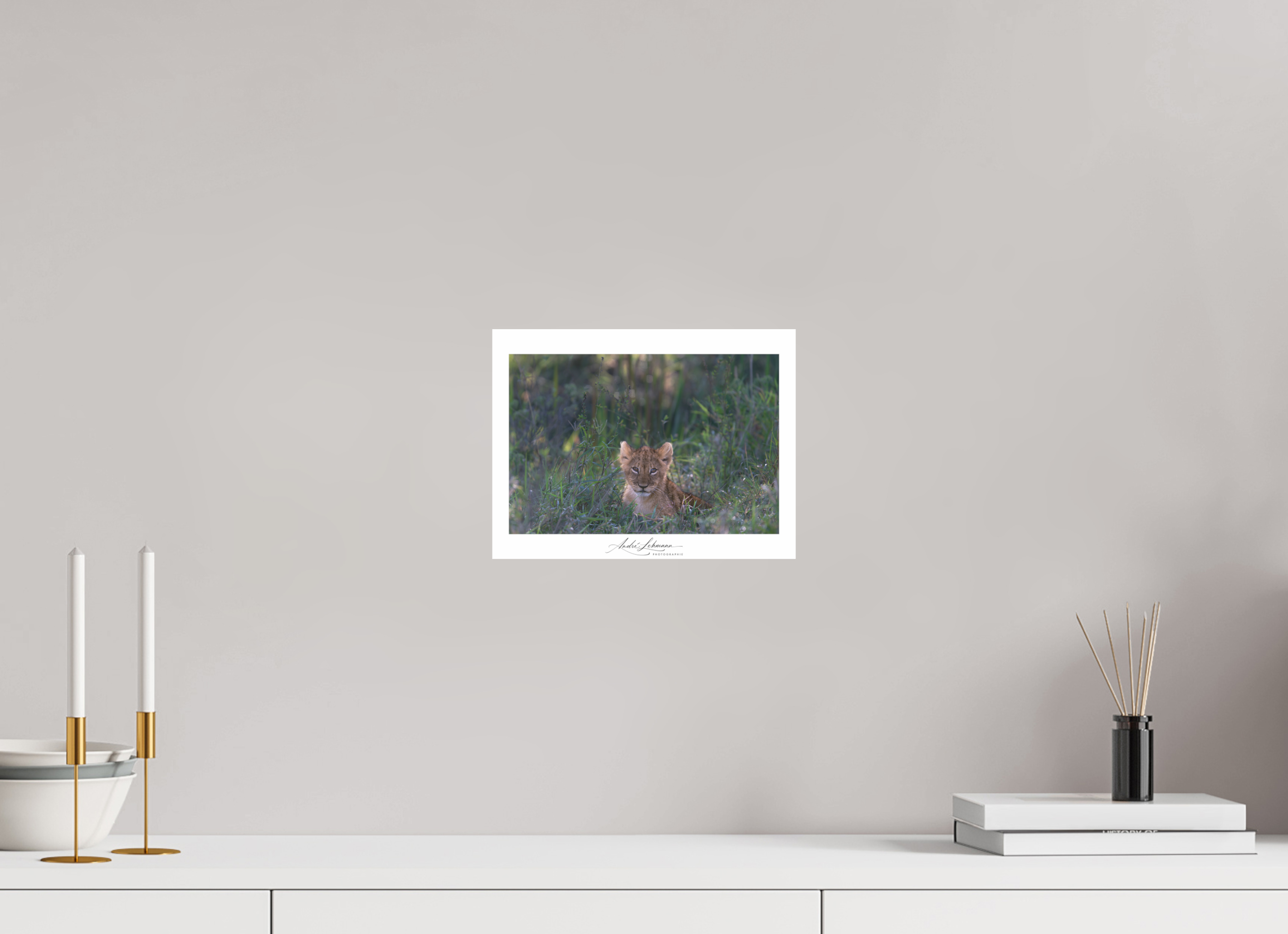 26.4 x 20 cm, Photo Print Under Acrylic Glass Lion cub