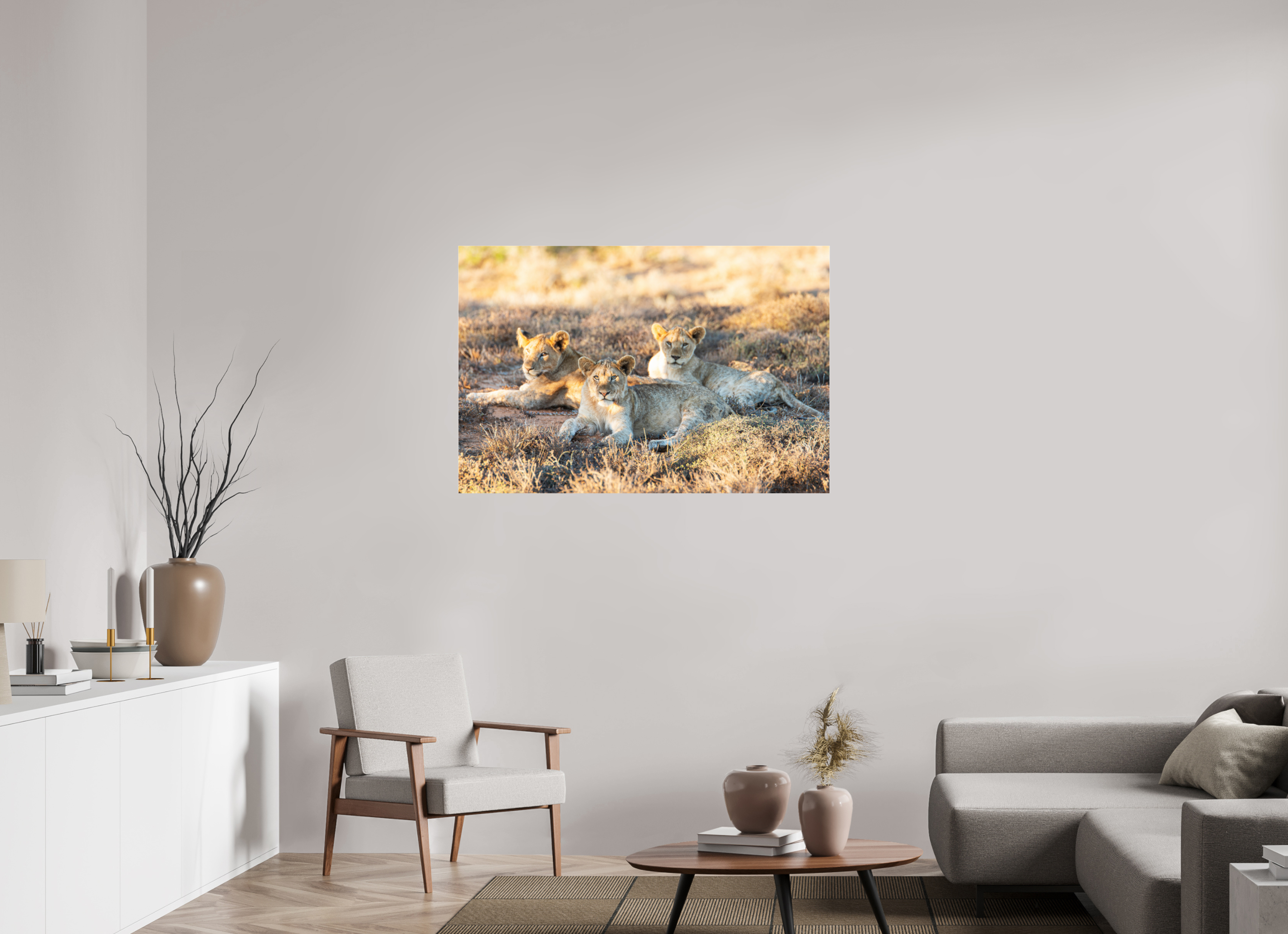 120 x 80 cm, Photo Print Under Acrylic Glass Lion cubs (no frame)