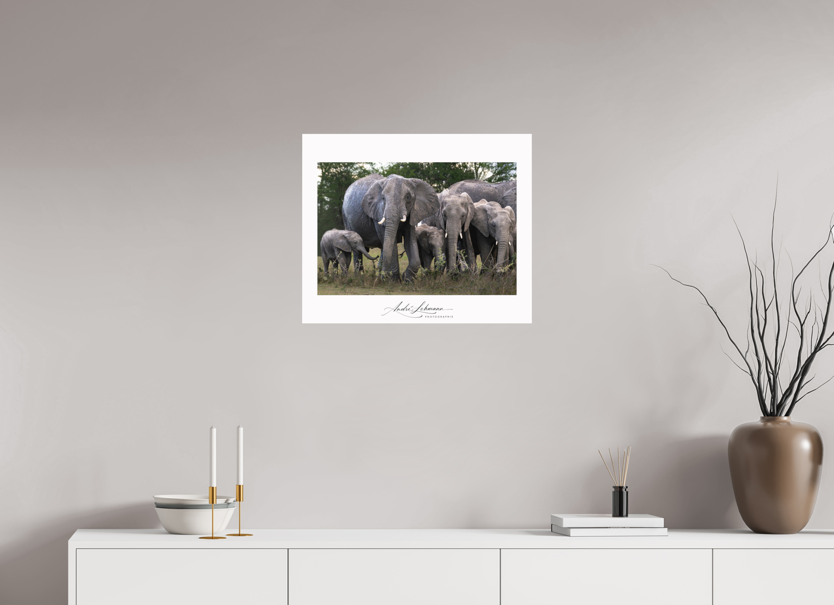 60.6 x 50 cm, Photo Print Under Acrylic Glass Happy Elephant family