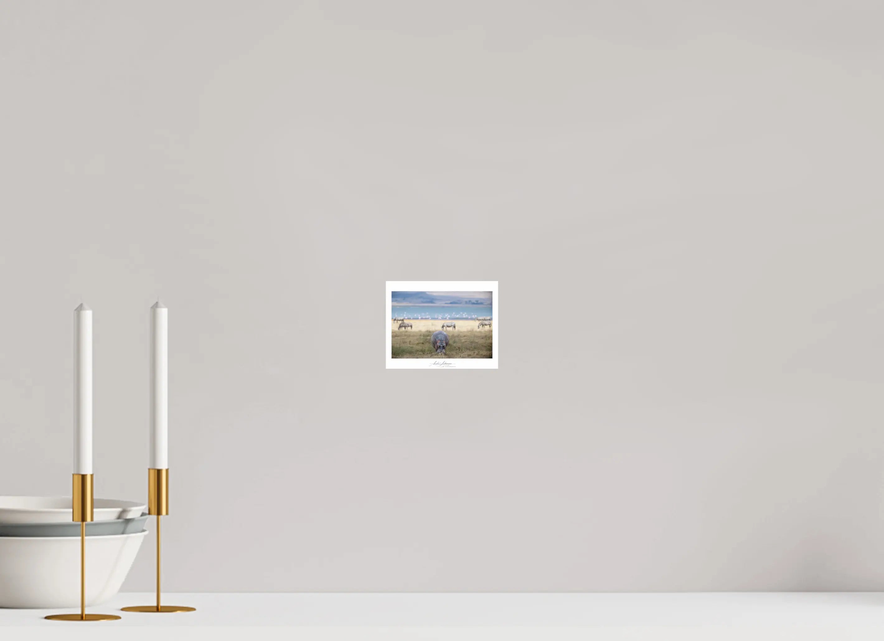 12.8 x 10 cm, Photo Print Under Acrylic Glass Hippo grazing