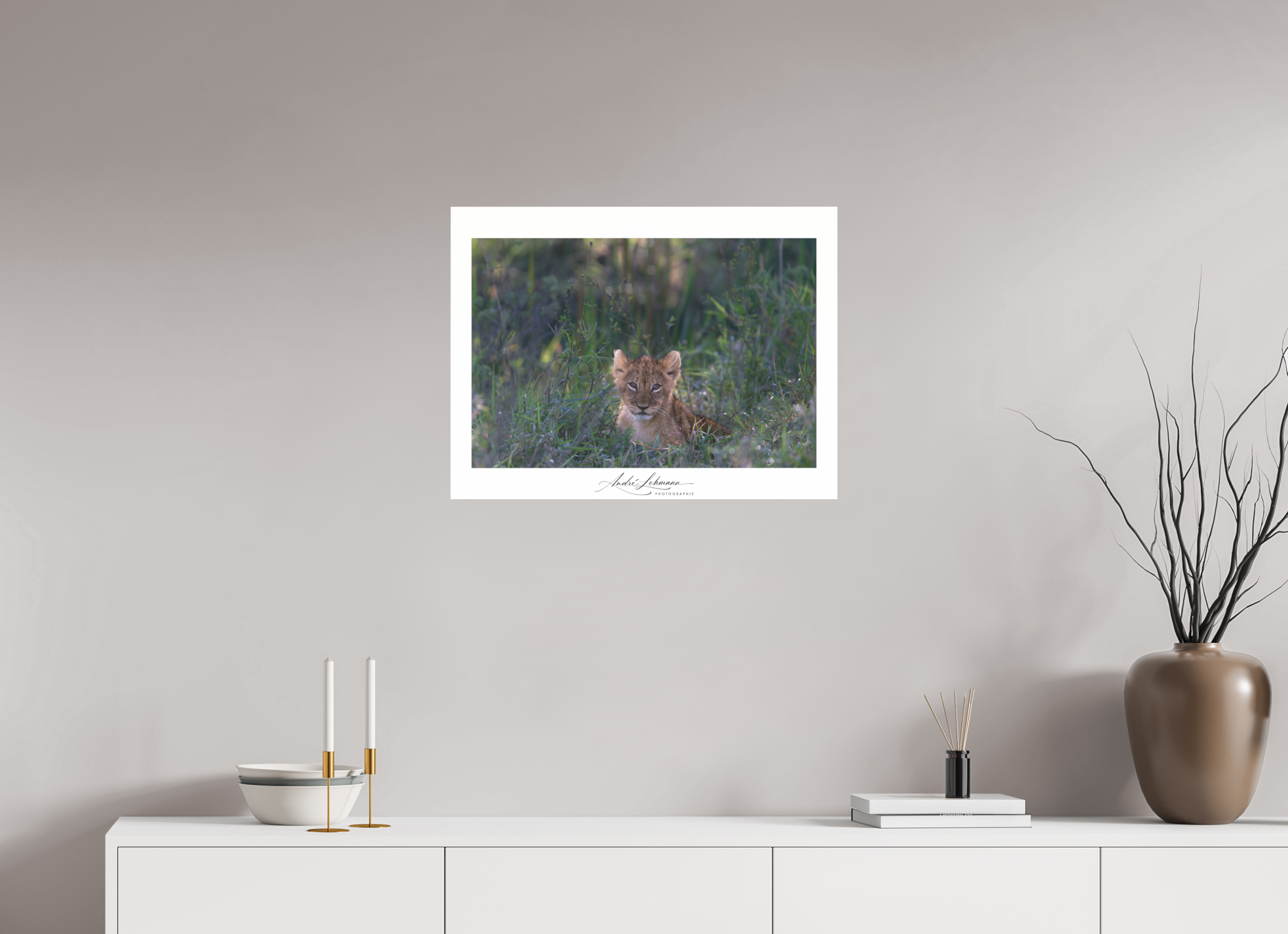 66.1 x 50 cm, Photo Print Under Acrylic Glass Lion cub