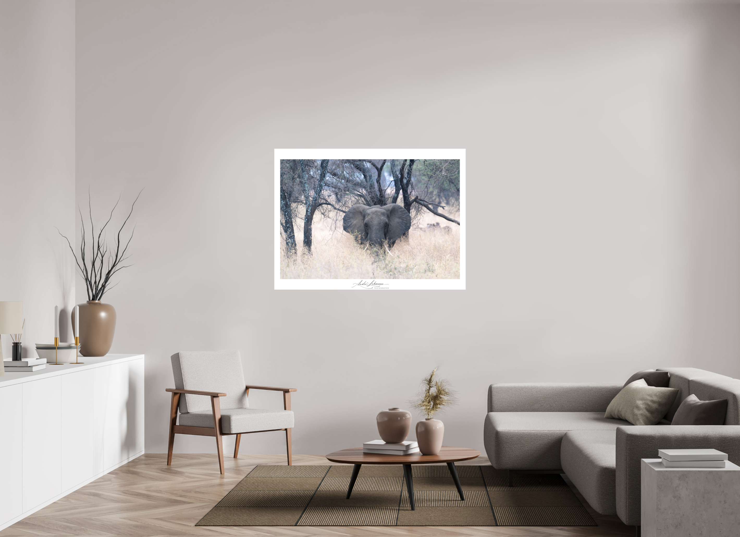 135.9 x 100 cm, Foto-Druck auf Alu-Dibond African Elephant