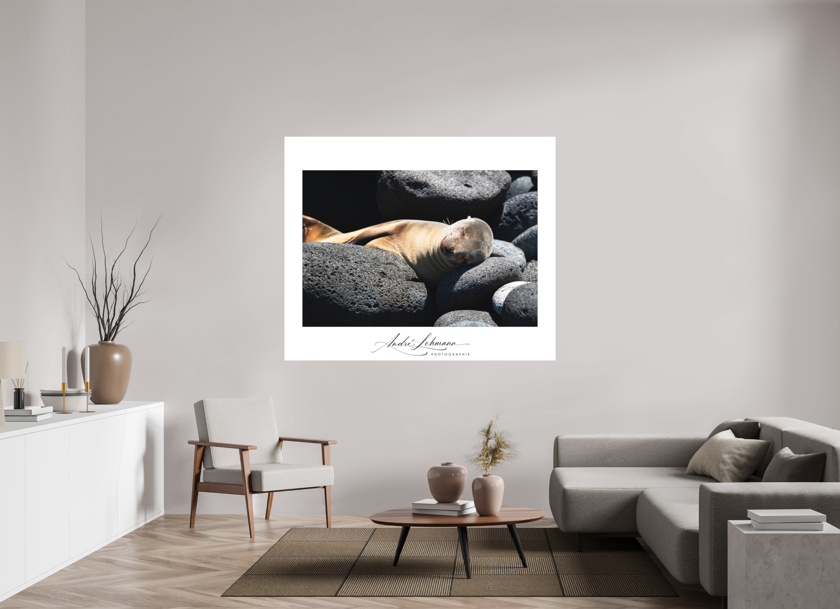 169.5 x 140 cm, Foto-Druck auf Alu-Dibond Galapagos Sea Lion