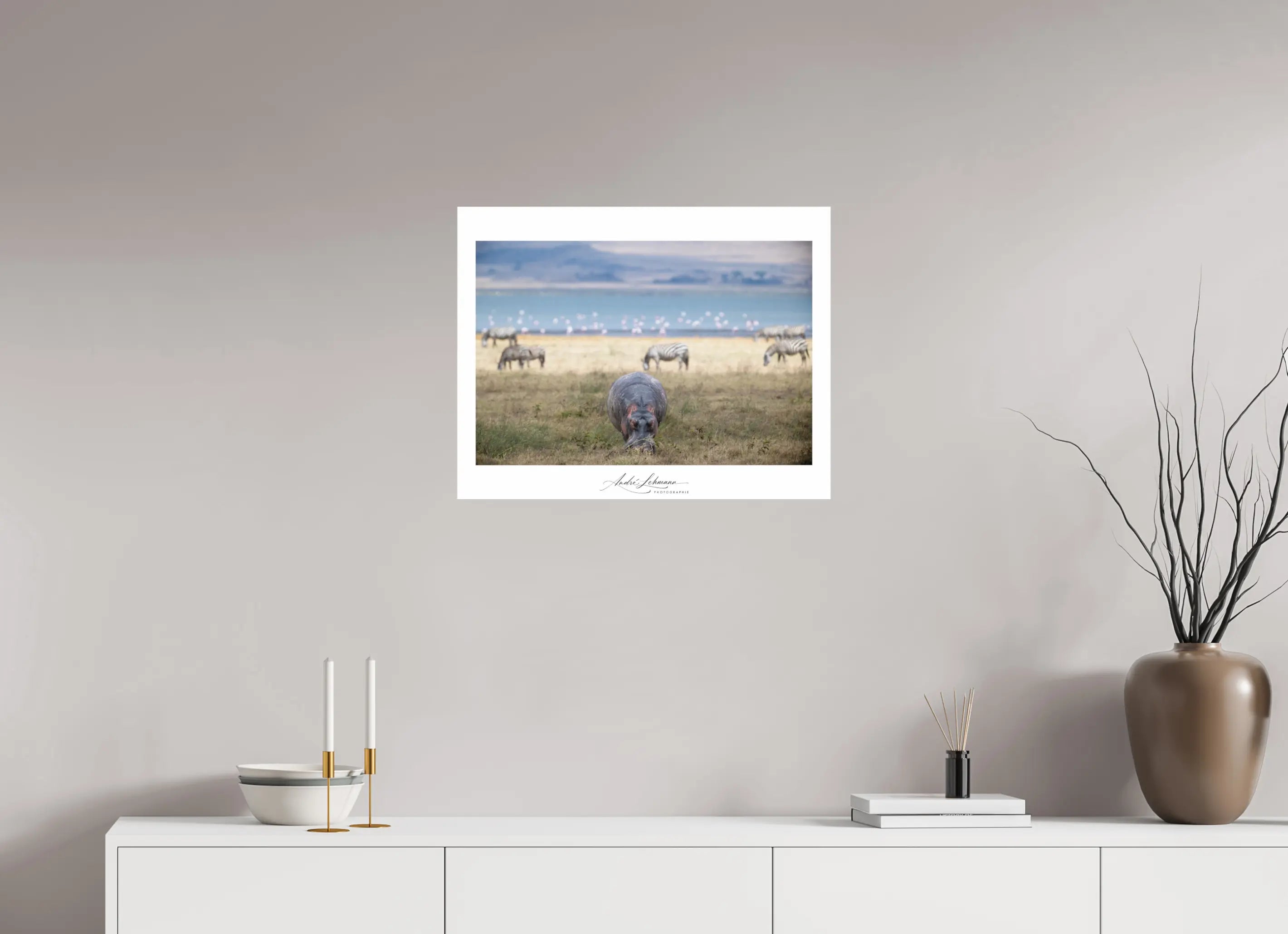 63.8 x 50 cm, Photo Print Under Acrylic Glass Hippo grazing