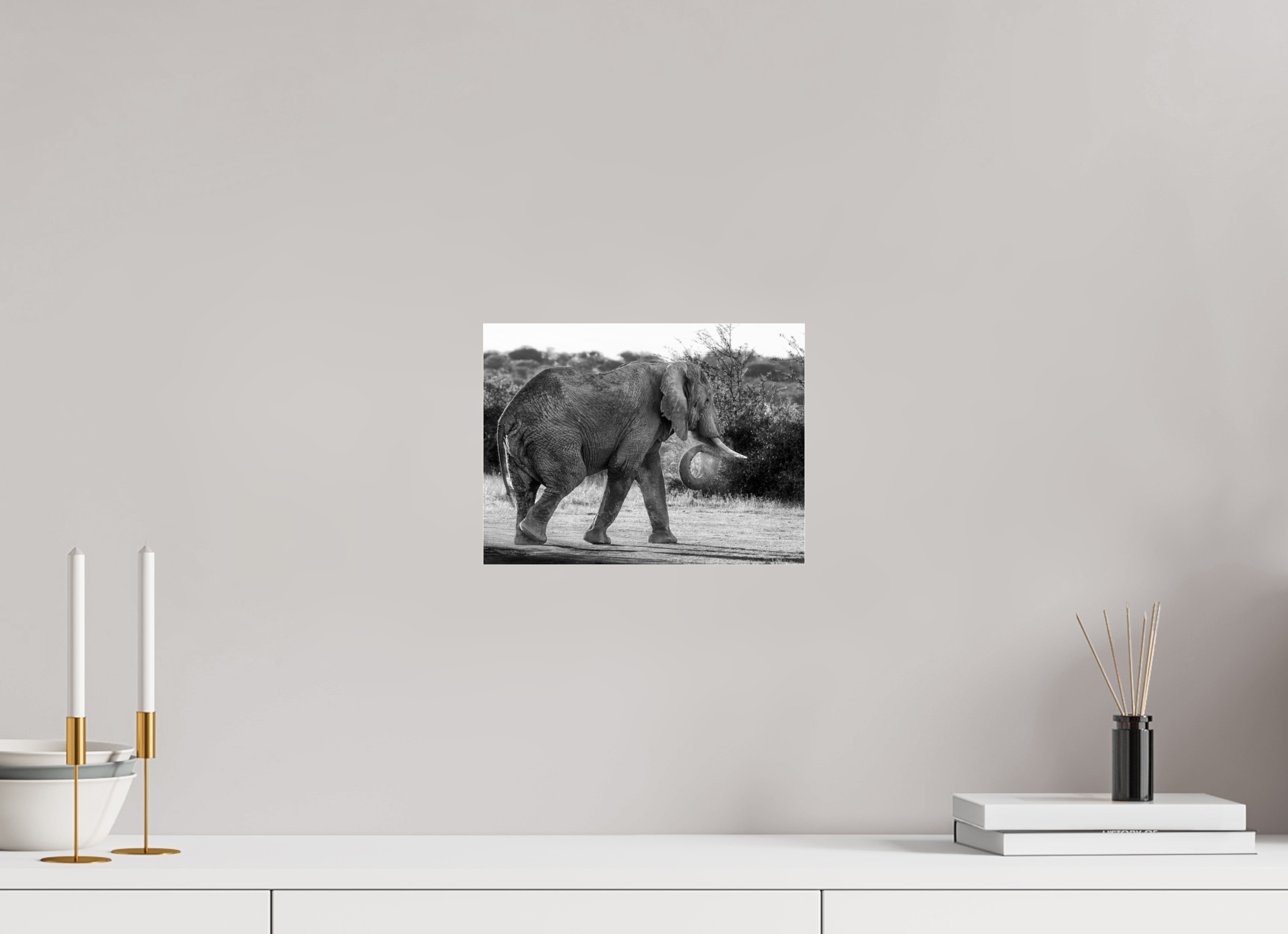 28 x 21 cm, Photo Print Under Acrylic Glass Elephant black and white (no frame)