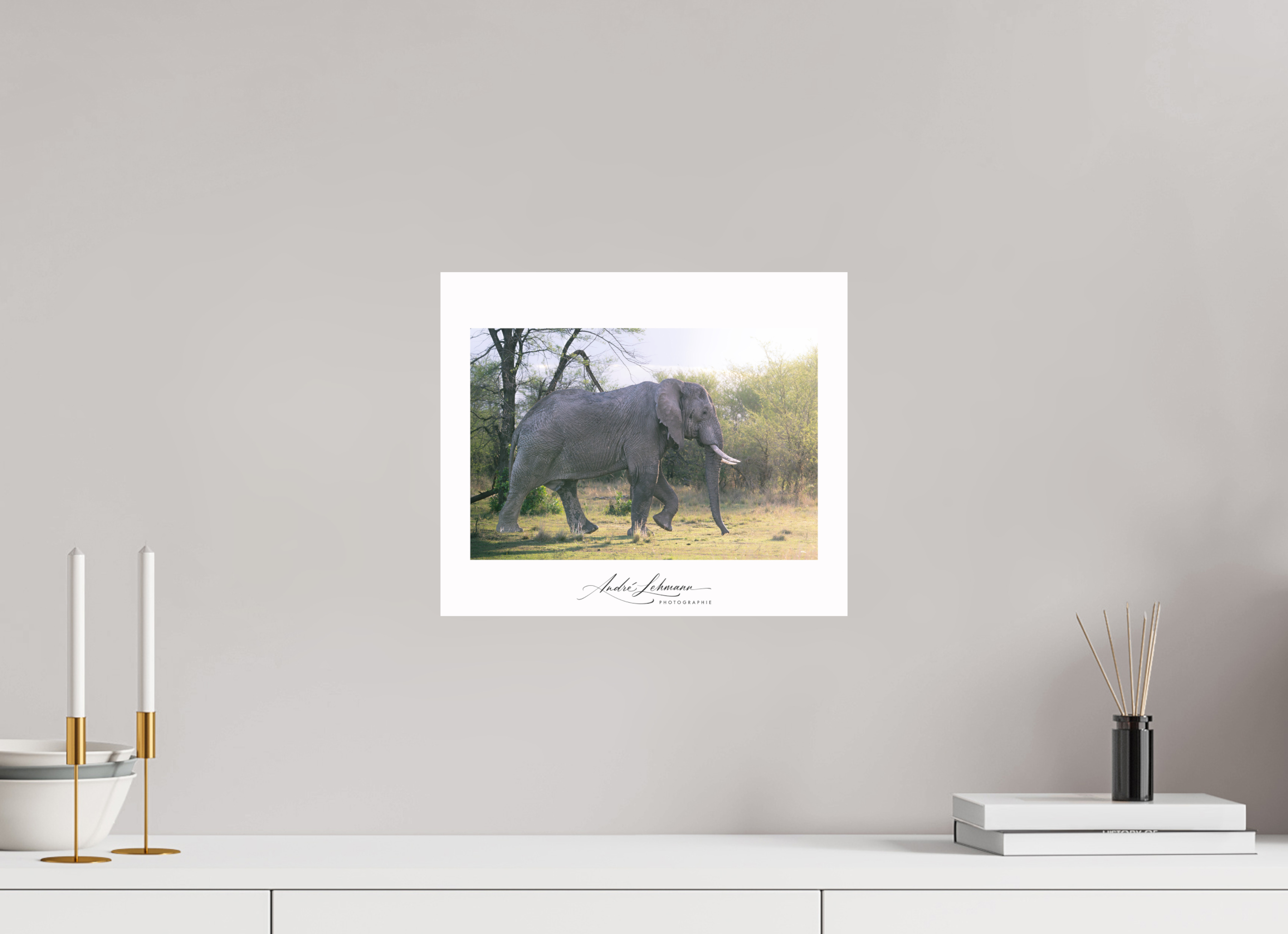 35.5 x 30 cm, Foto-Druck auf Alu-Dibond Giant walking