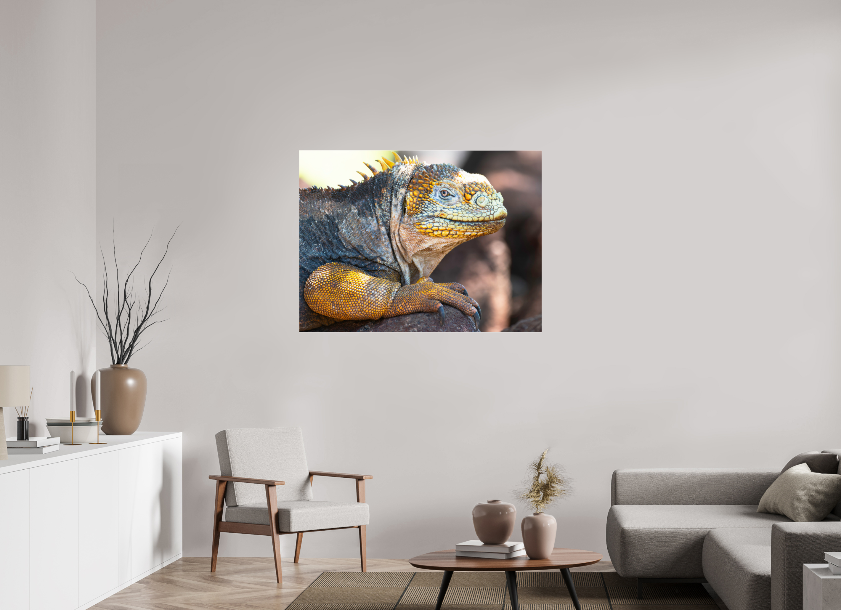 120 x 90 cm, Photo Print Under Acrylic Glass Galapagos Land Iguana (no frame)