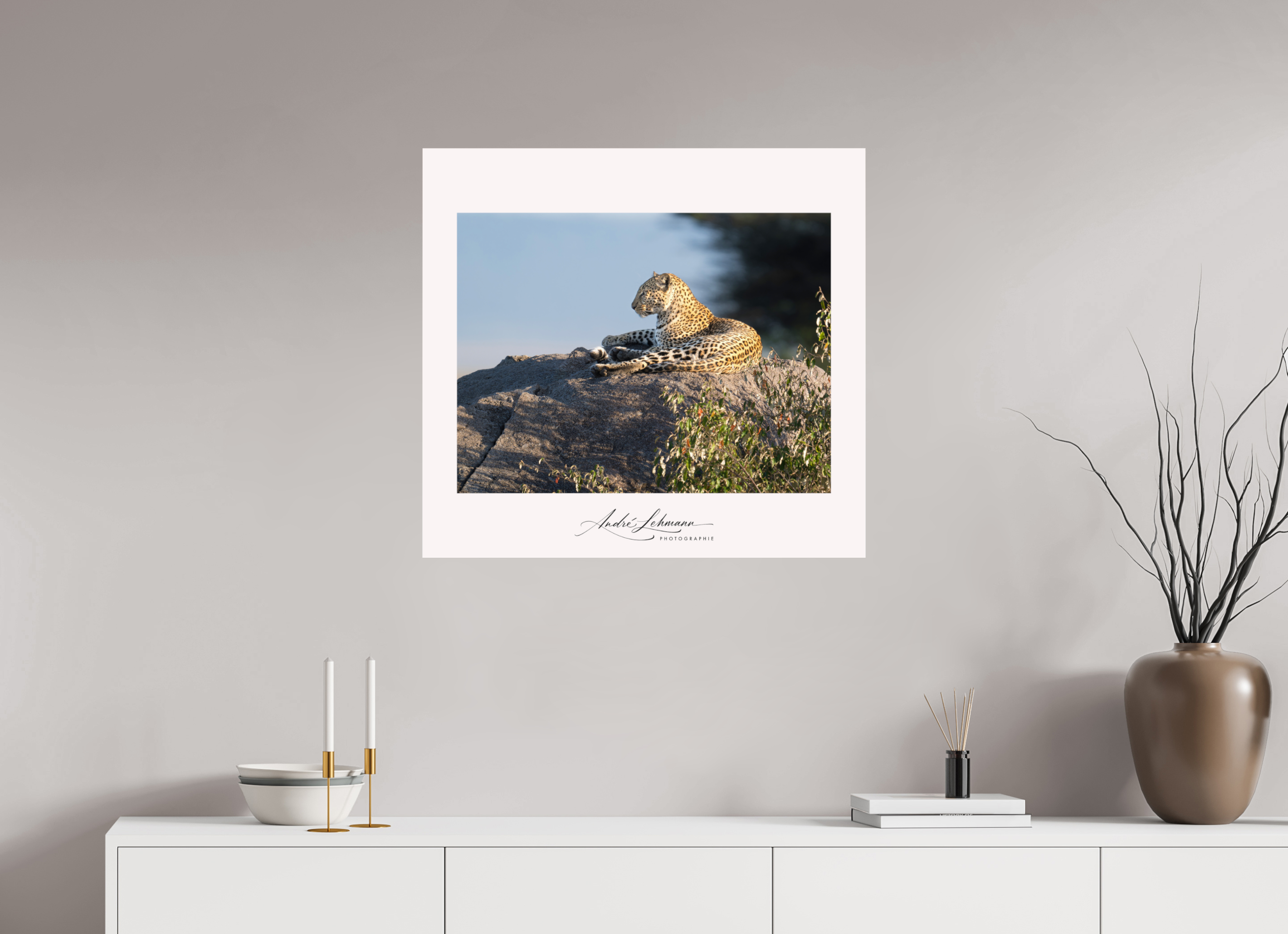 75.7 x 70 cm, Photo Print Under Acrylic Glass Leopard scanning the horizon