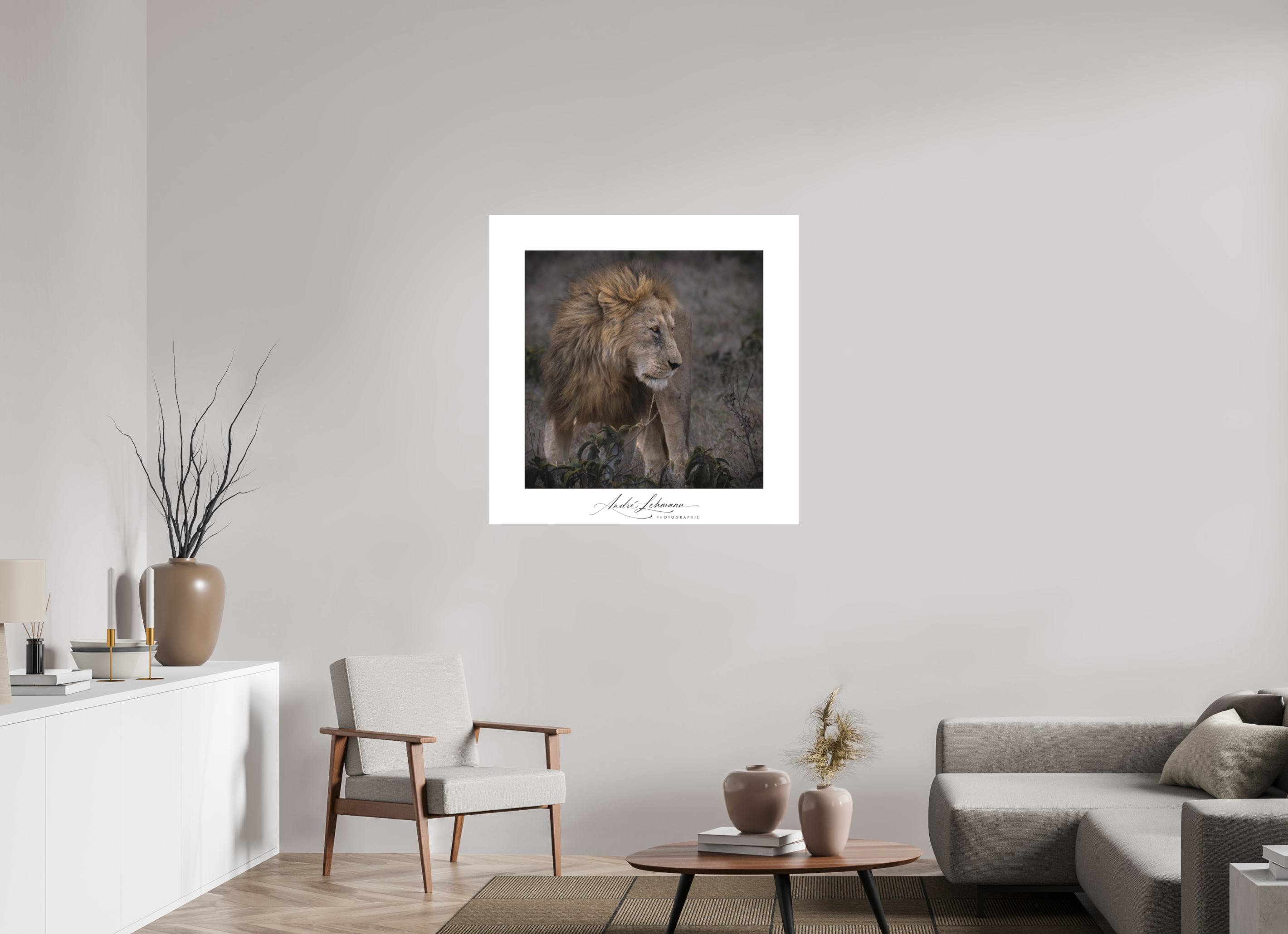 100 x 100 cm, Foto-Druck auf Alu-Dibond Male lion (Alu dibond)