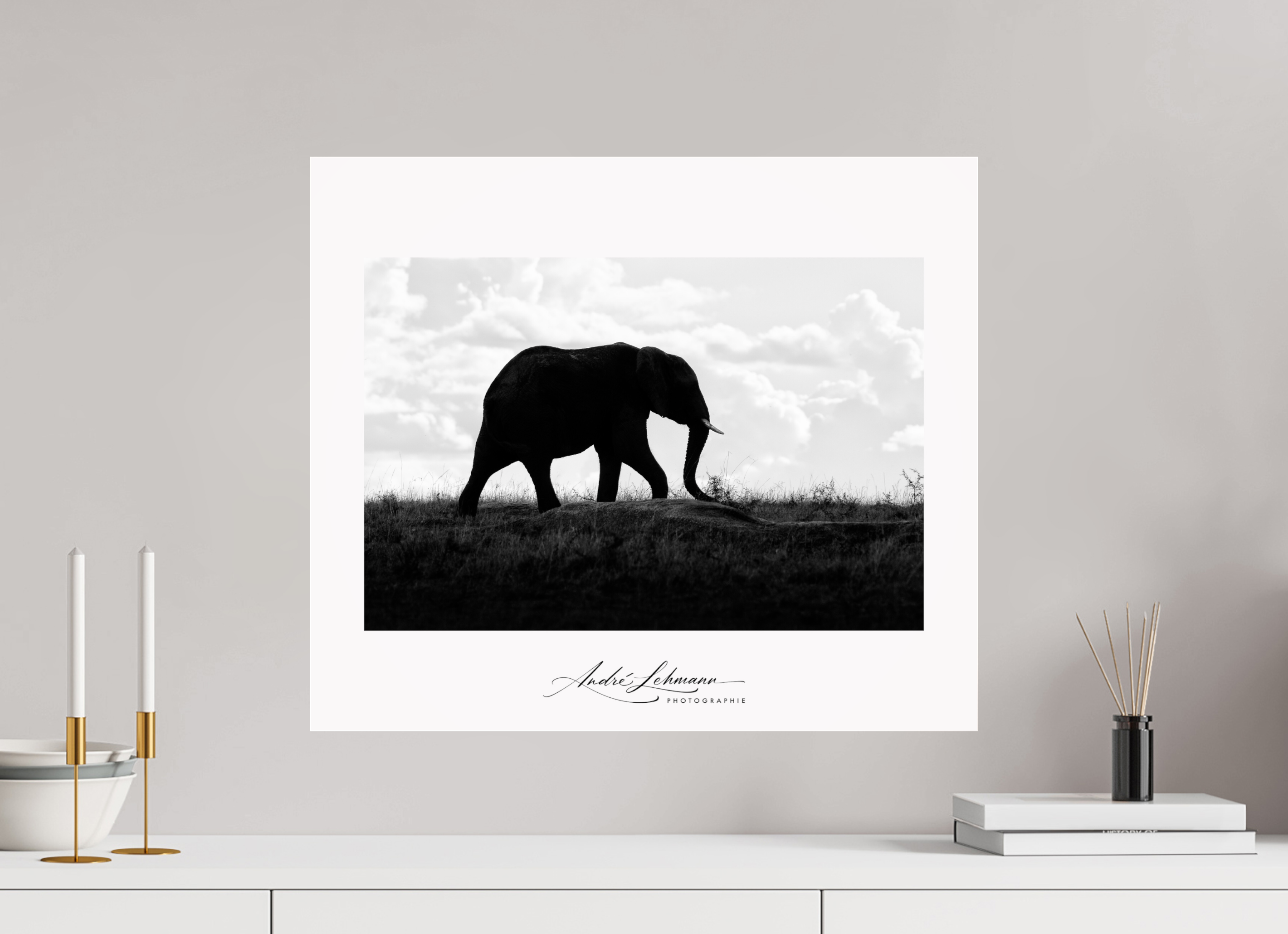 58.1 x 50 cm, Photo Print Under Acrylic Glass Elephant strolling