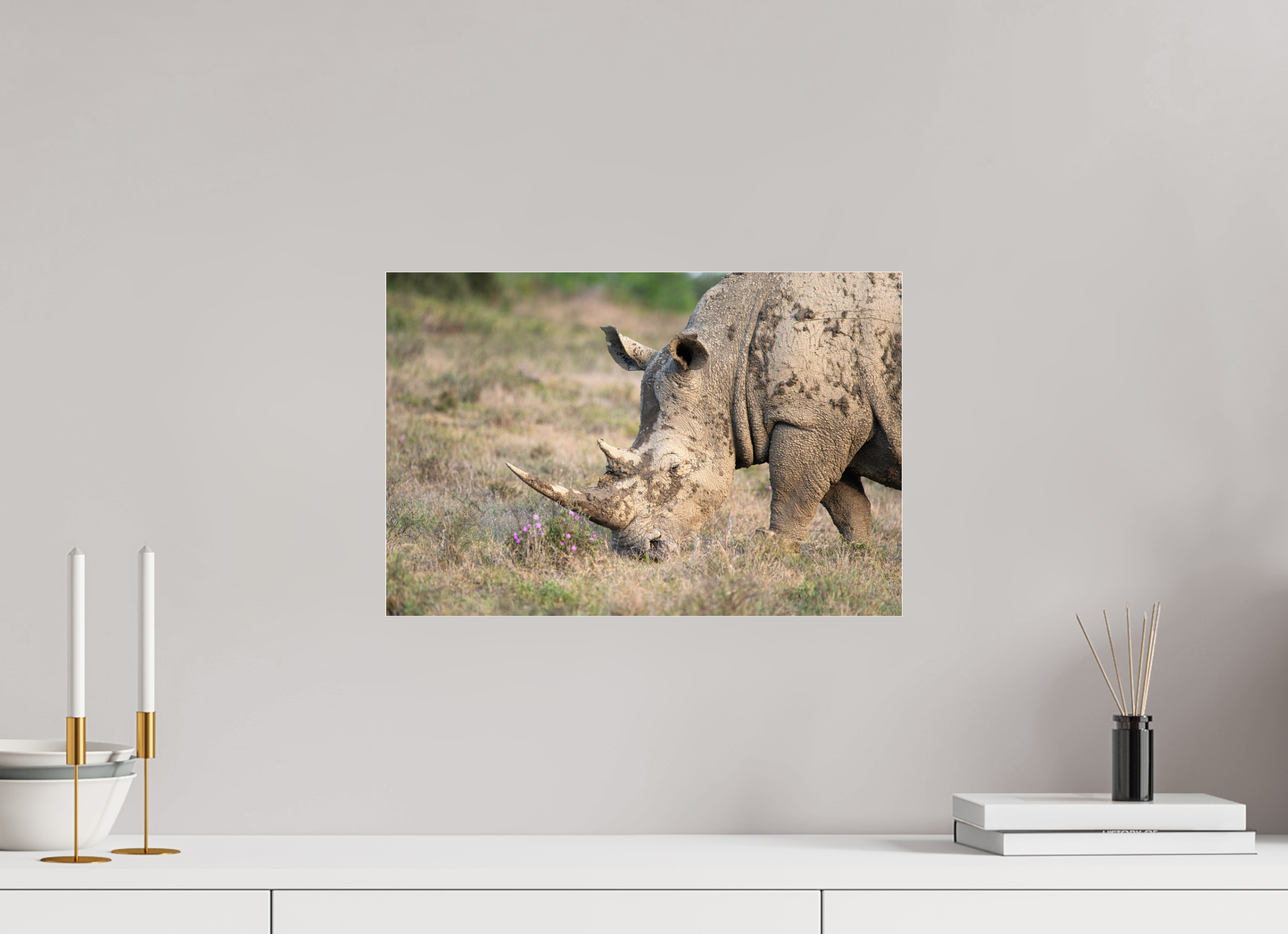 45 x 30 cm, Photo Print Under Acrylic Glass Rhino (no frame)