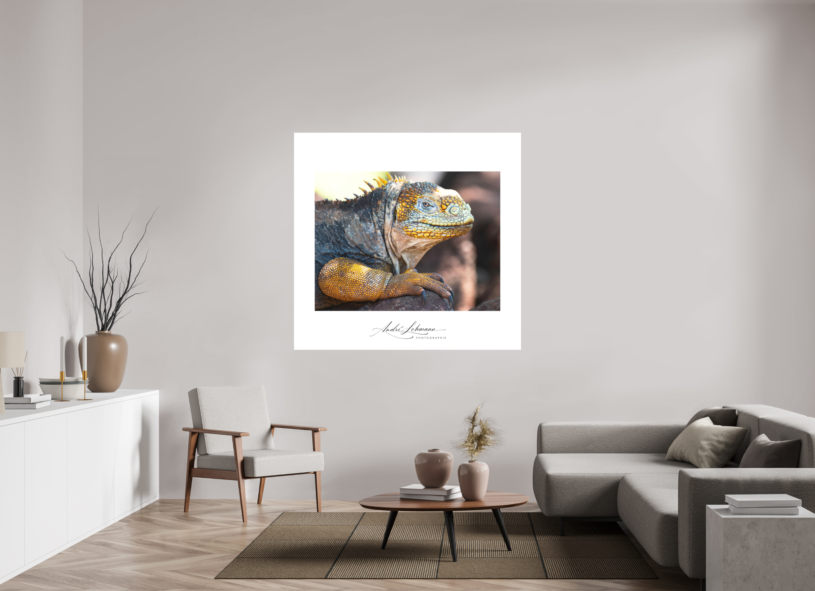 146.3 x 140 cm, Foto-Druck auf Alu-Dibond Galapagos Land Iguana