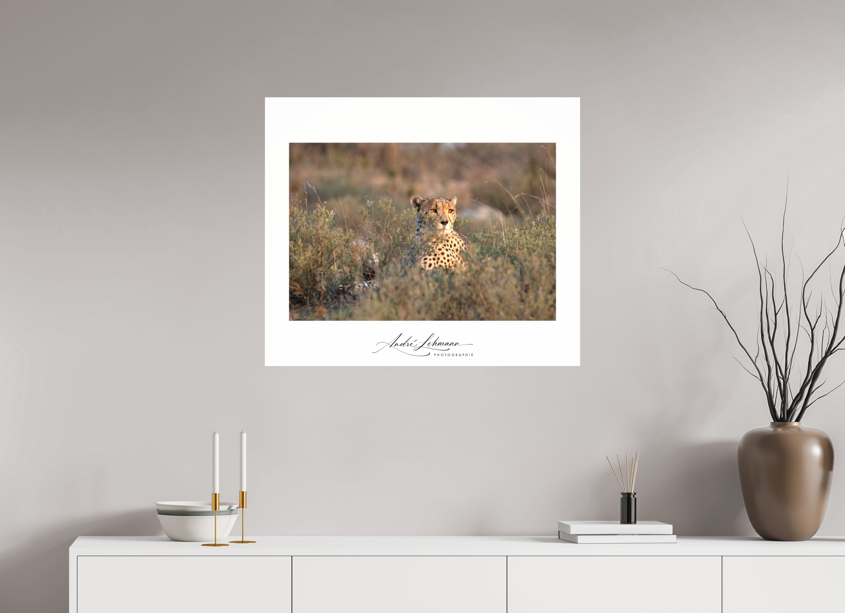 82.1 x 70 cm, Photo Print Under Acrylic Glass Cheetah in the grass