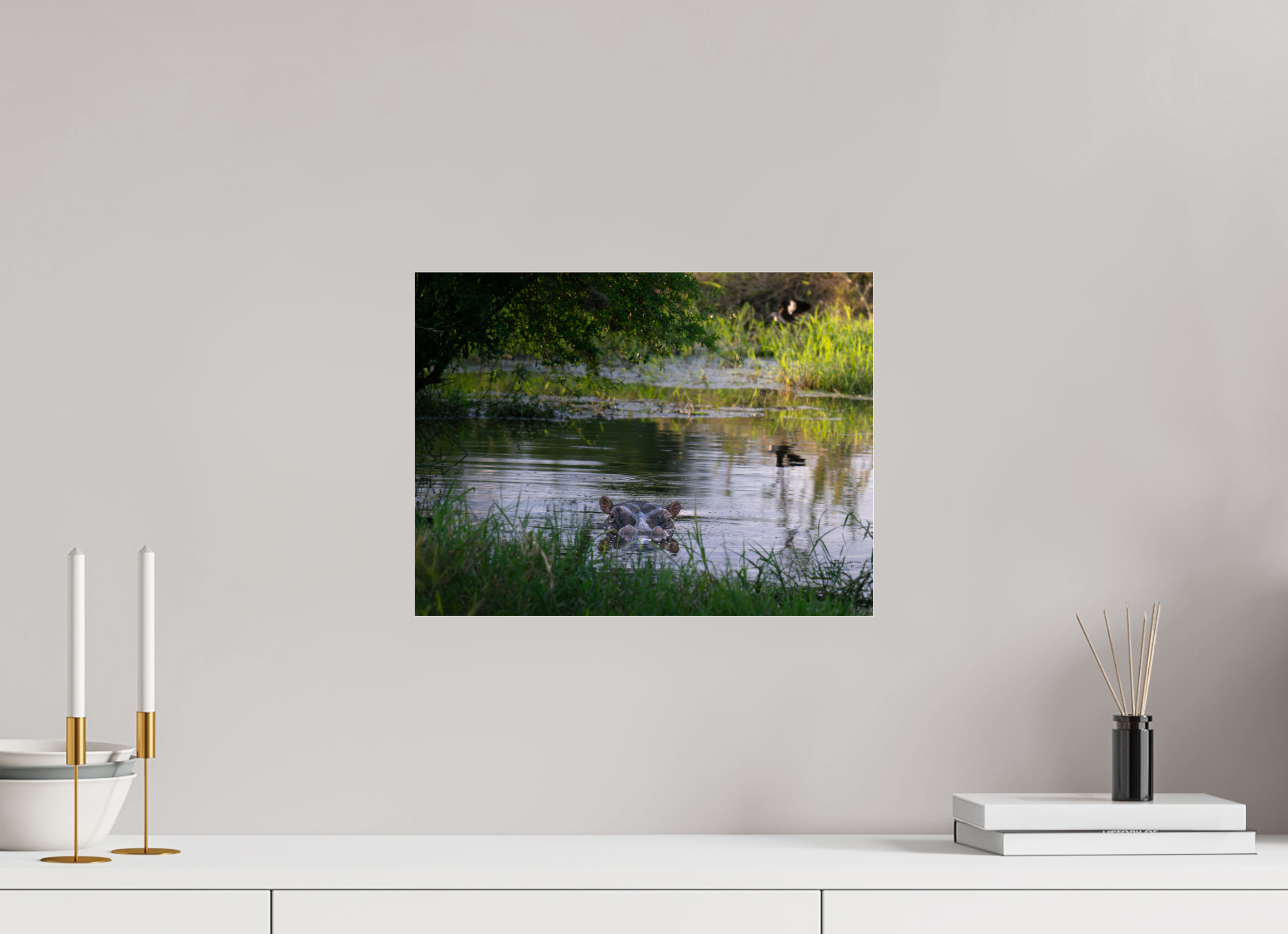 40 x 30 cm, Photo Print Under Acrylic Glass Hippo in the pond