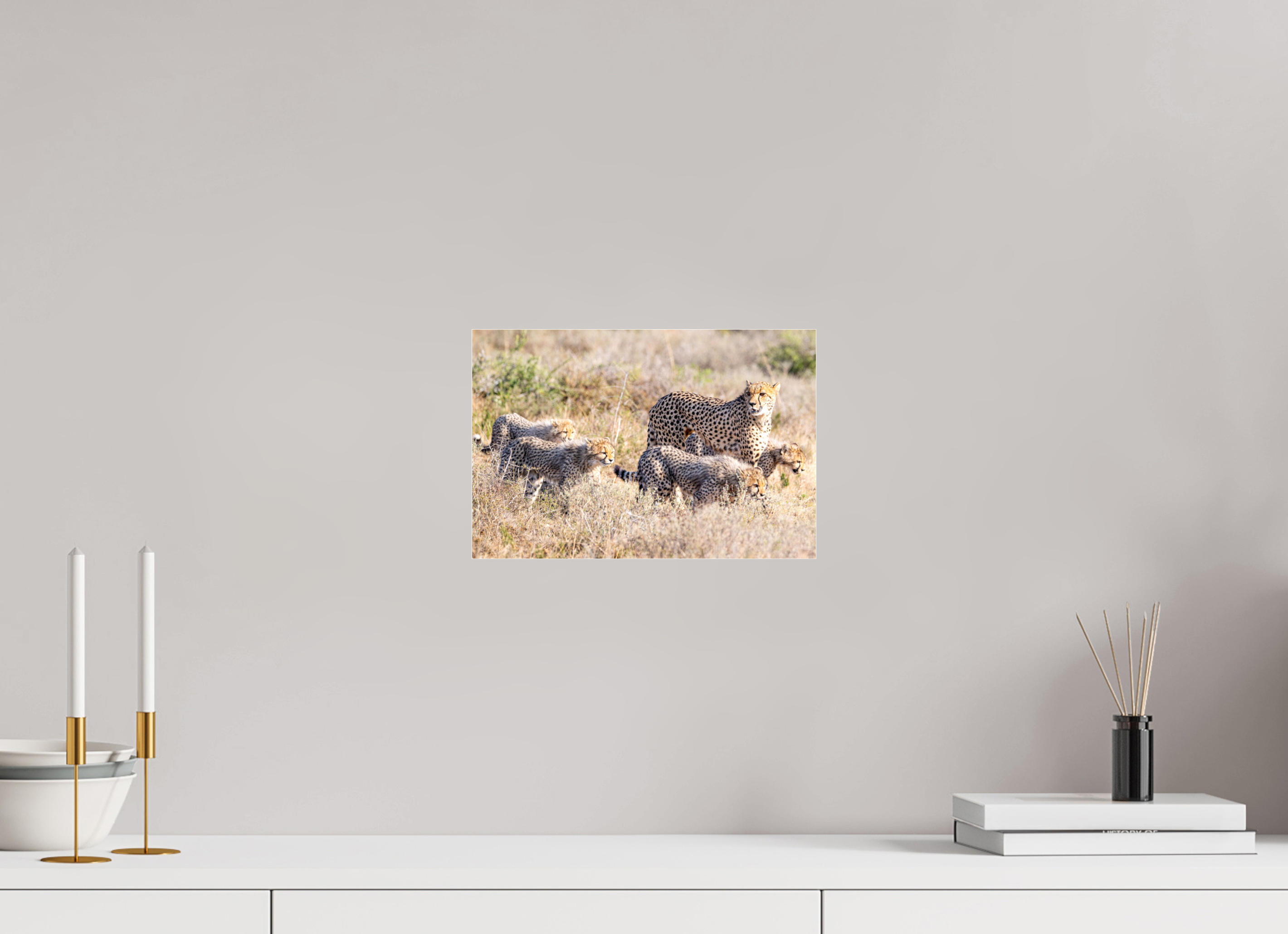 30 x 20 cm, Photo Print Under Acrylic Glass Cheetah and her cubs