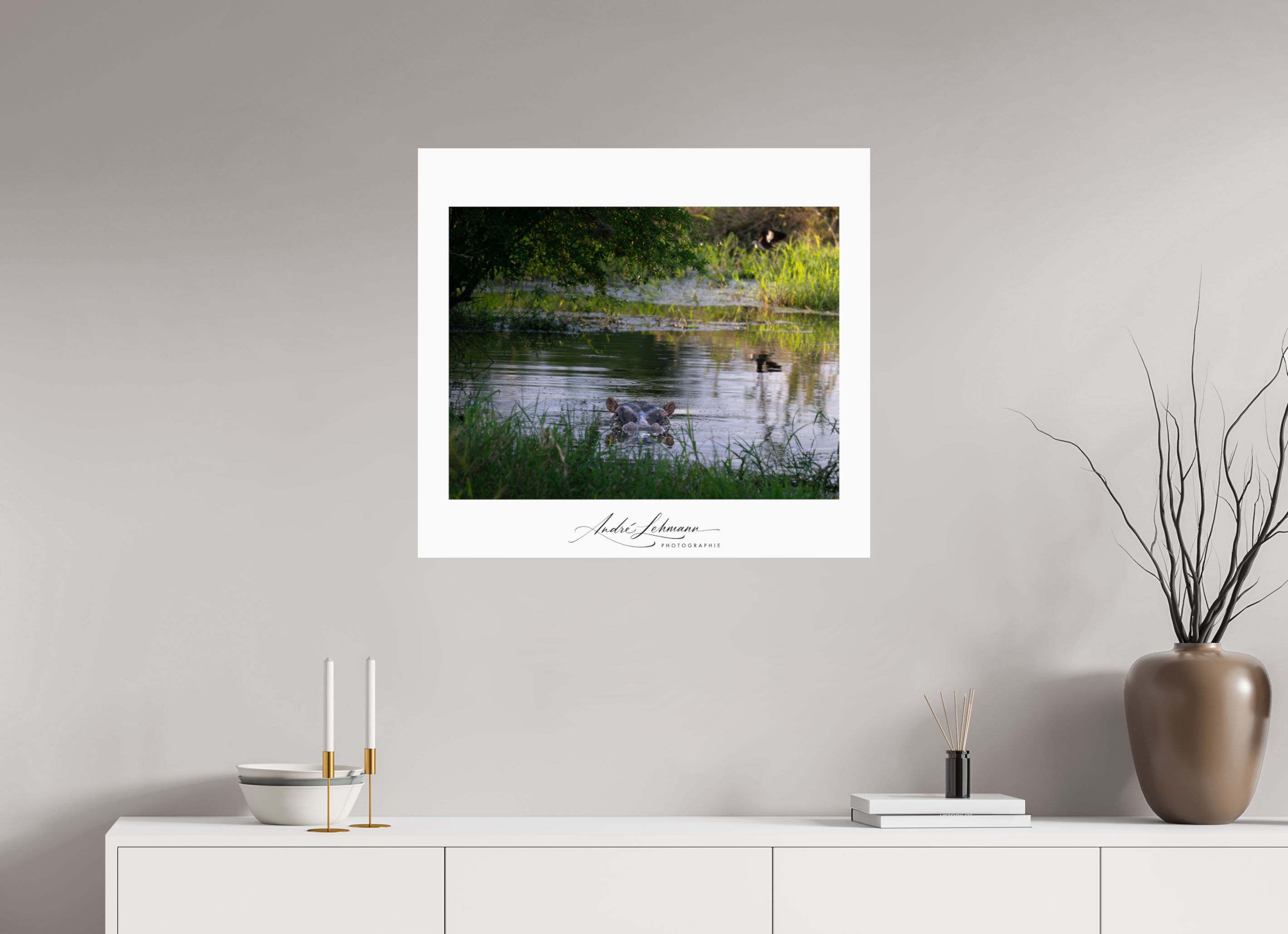 77.3 x 70 cm, Photo Print Under Acrylic Glass Hippo in the pond
