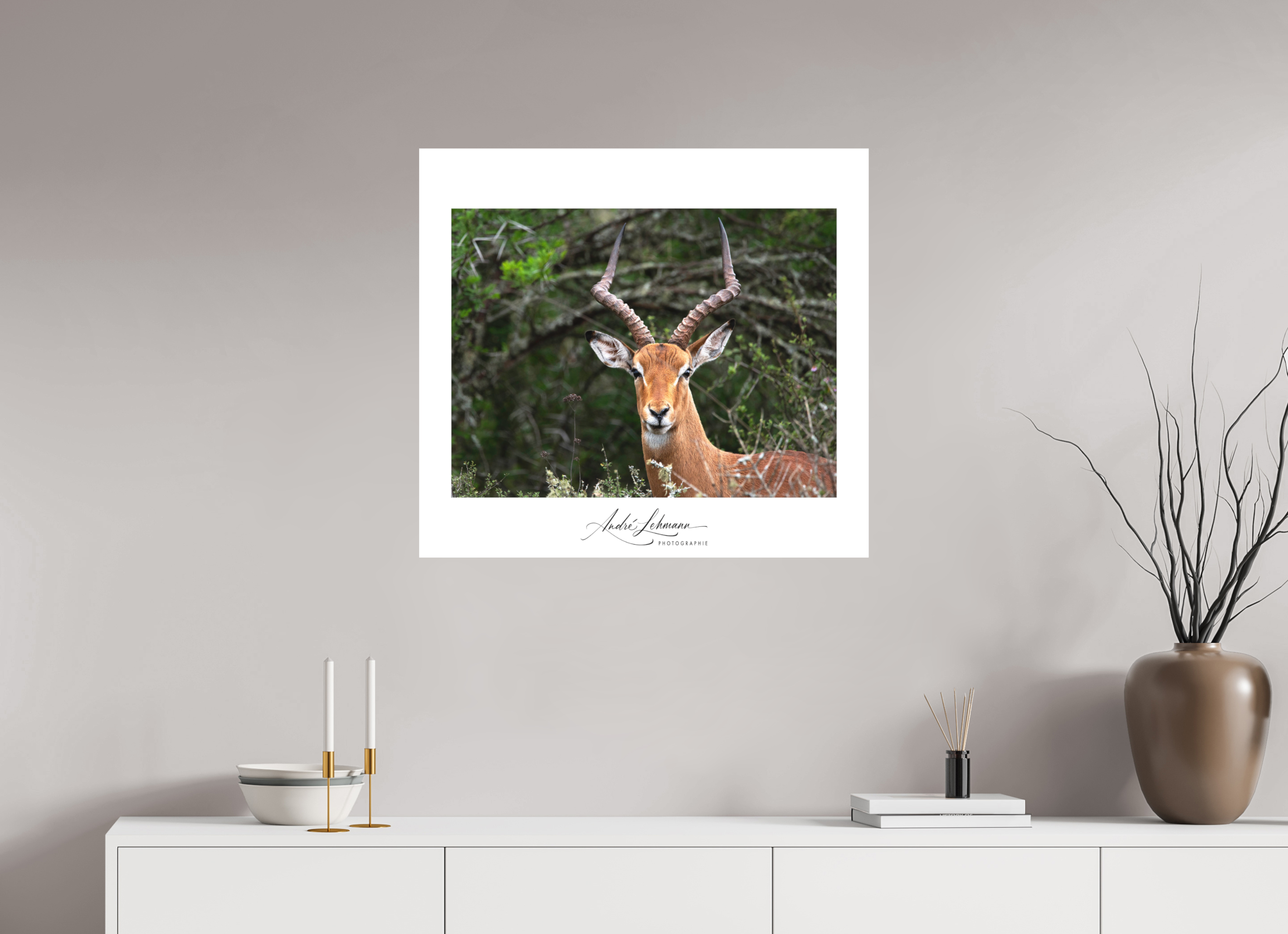 76.9 x 70 cm, Foto-Druck auf Alu-Dibond Impala (Alu Dibond)