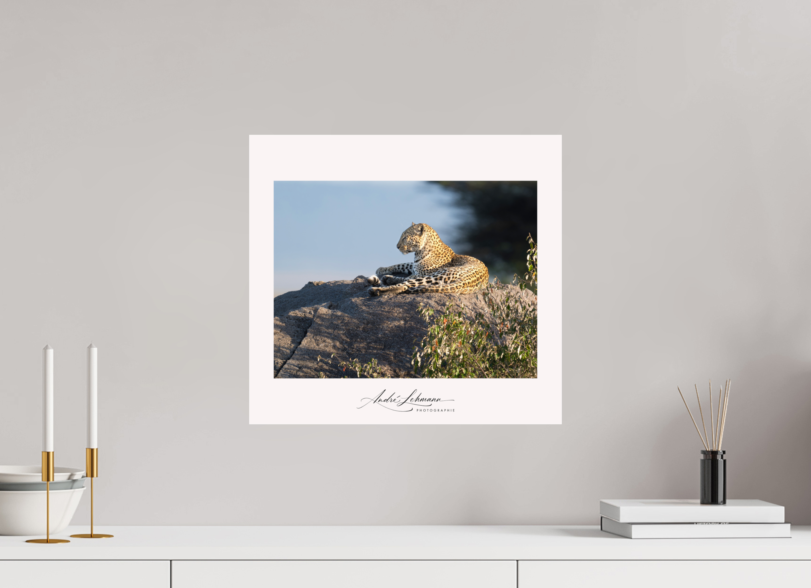 43.2 x 40 cm, Photo Print Under Acrylic Glass Leopard scanning the horizon
