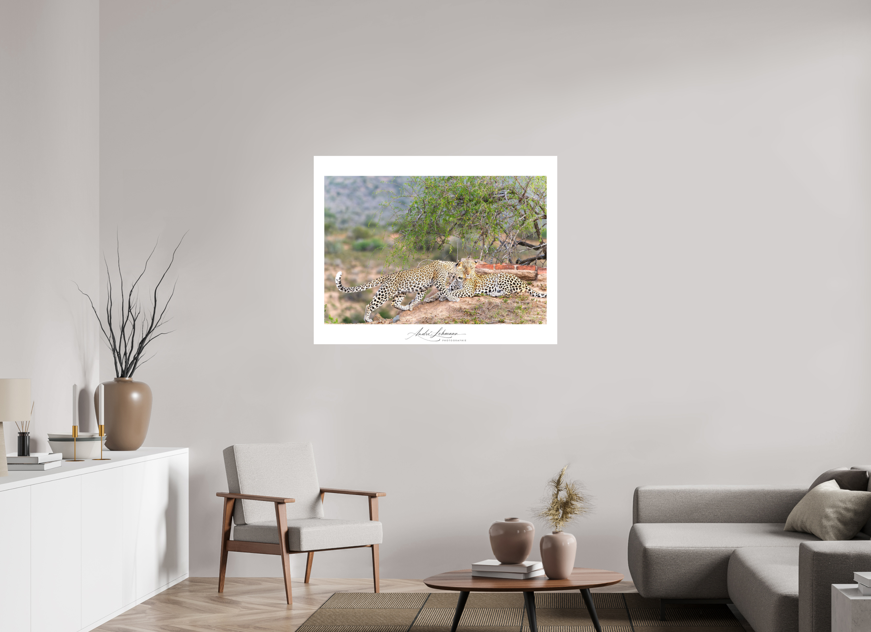 116.4 x 90 cm, Foto-Druck auf Alu-Dibond Two Leopards (Alu Dibond)