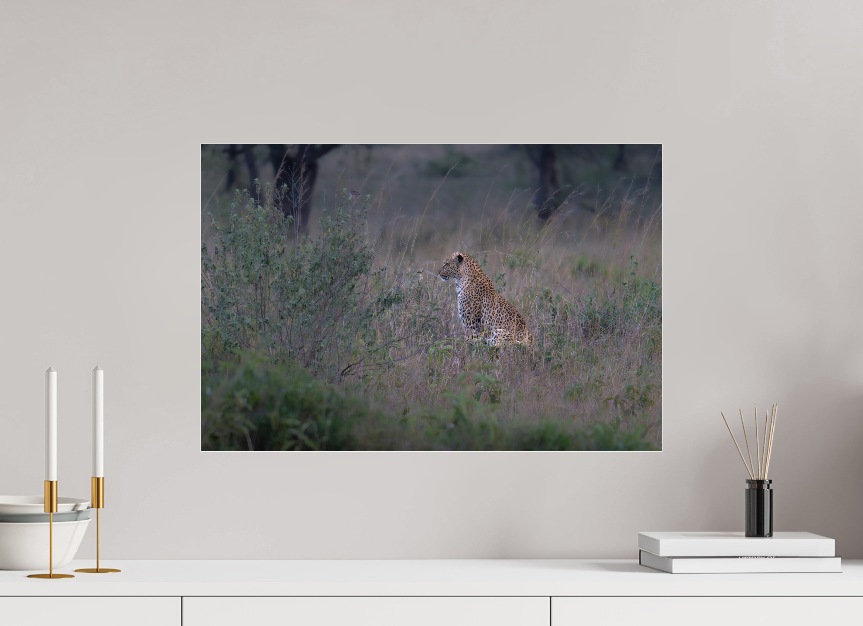 60 x 40 cm, Photo Print Under Acrylic Glass Leopard in high grass (no frame)