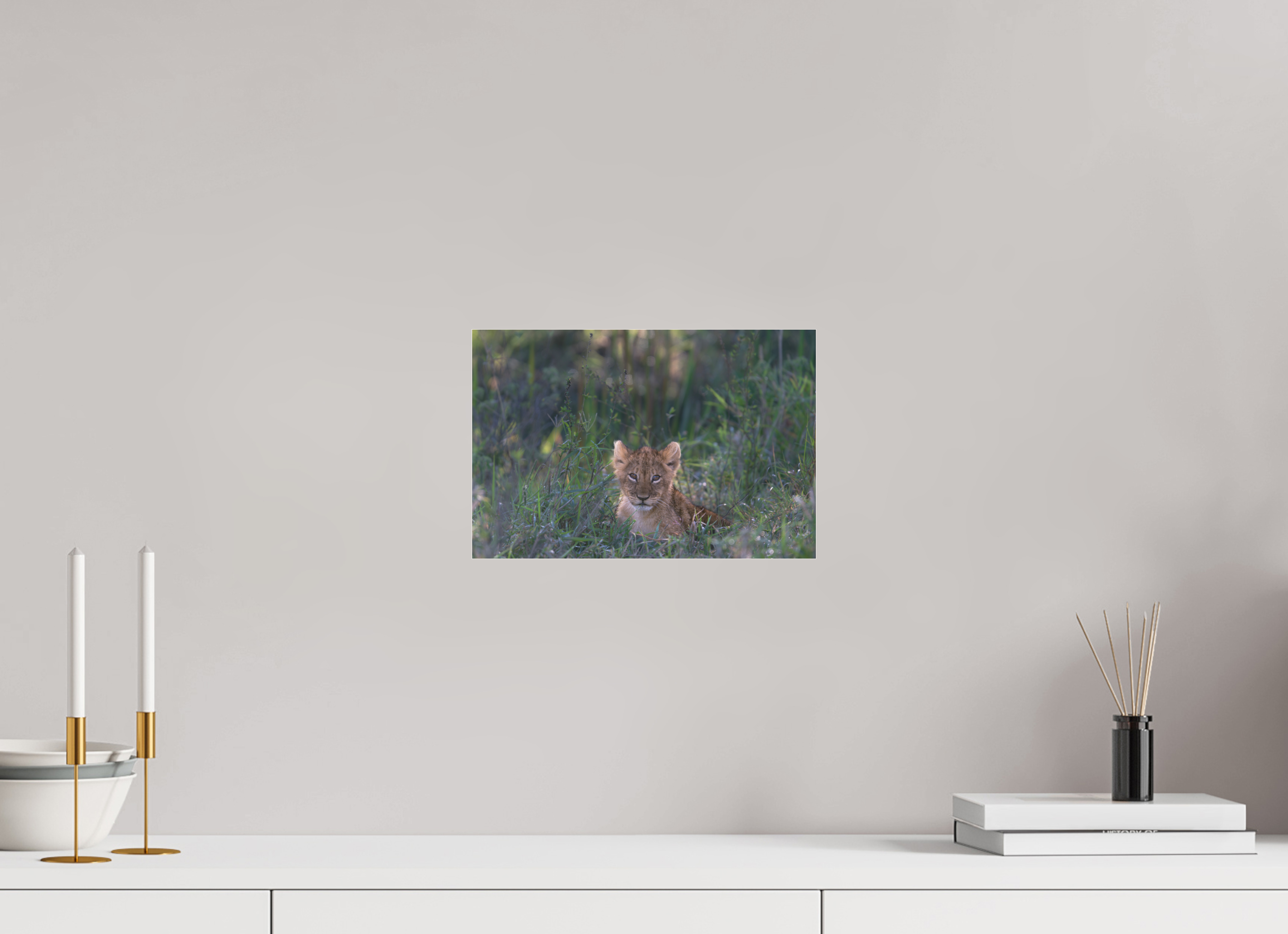 30 x 20 cm, Photo Print Under Acrylic Glass Lionb cub (no frame)