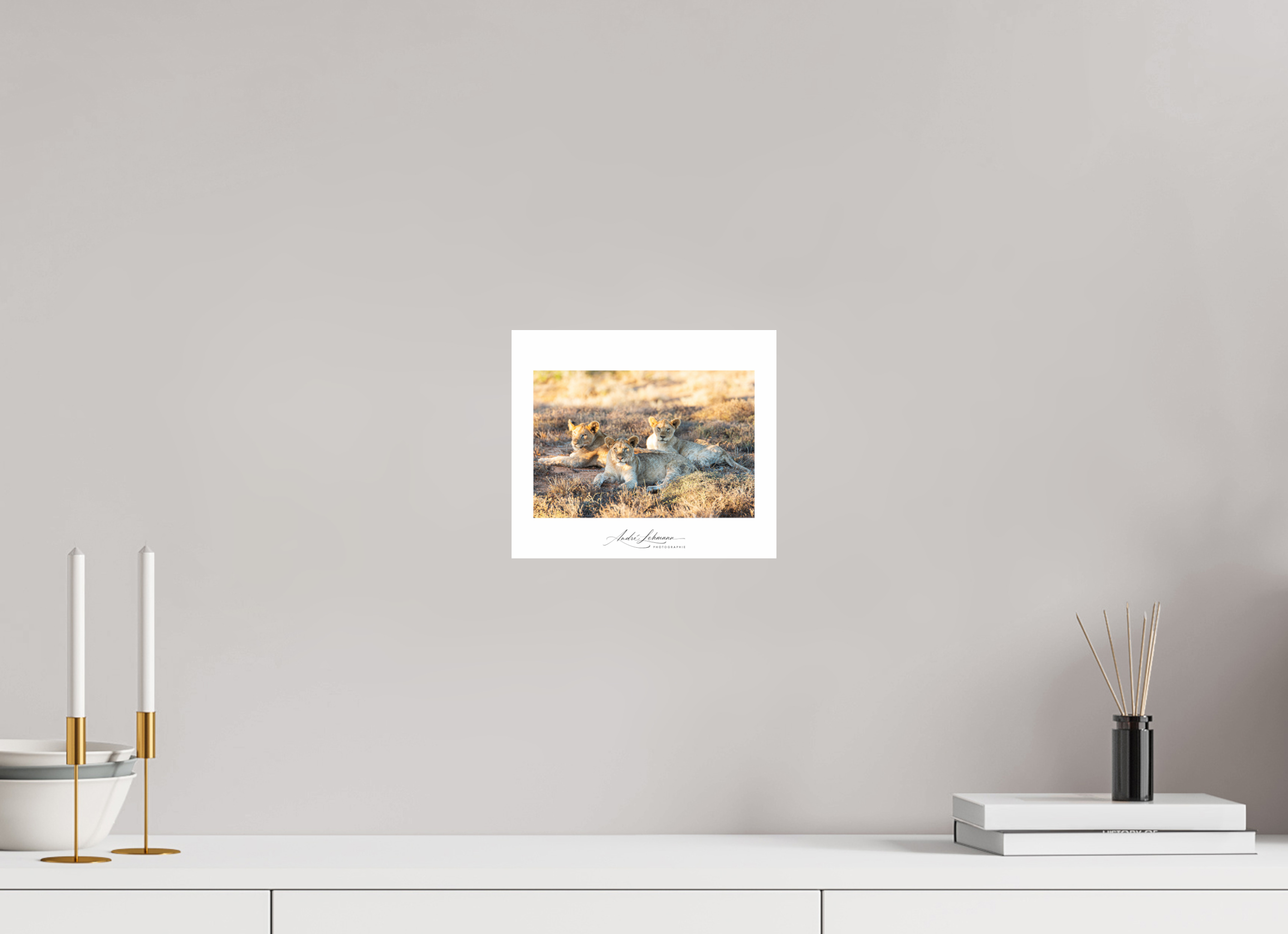 23.2 x 20 cm, Photo Print Under Acrylic Glass Lion Cubs