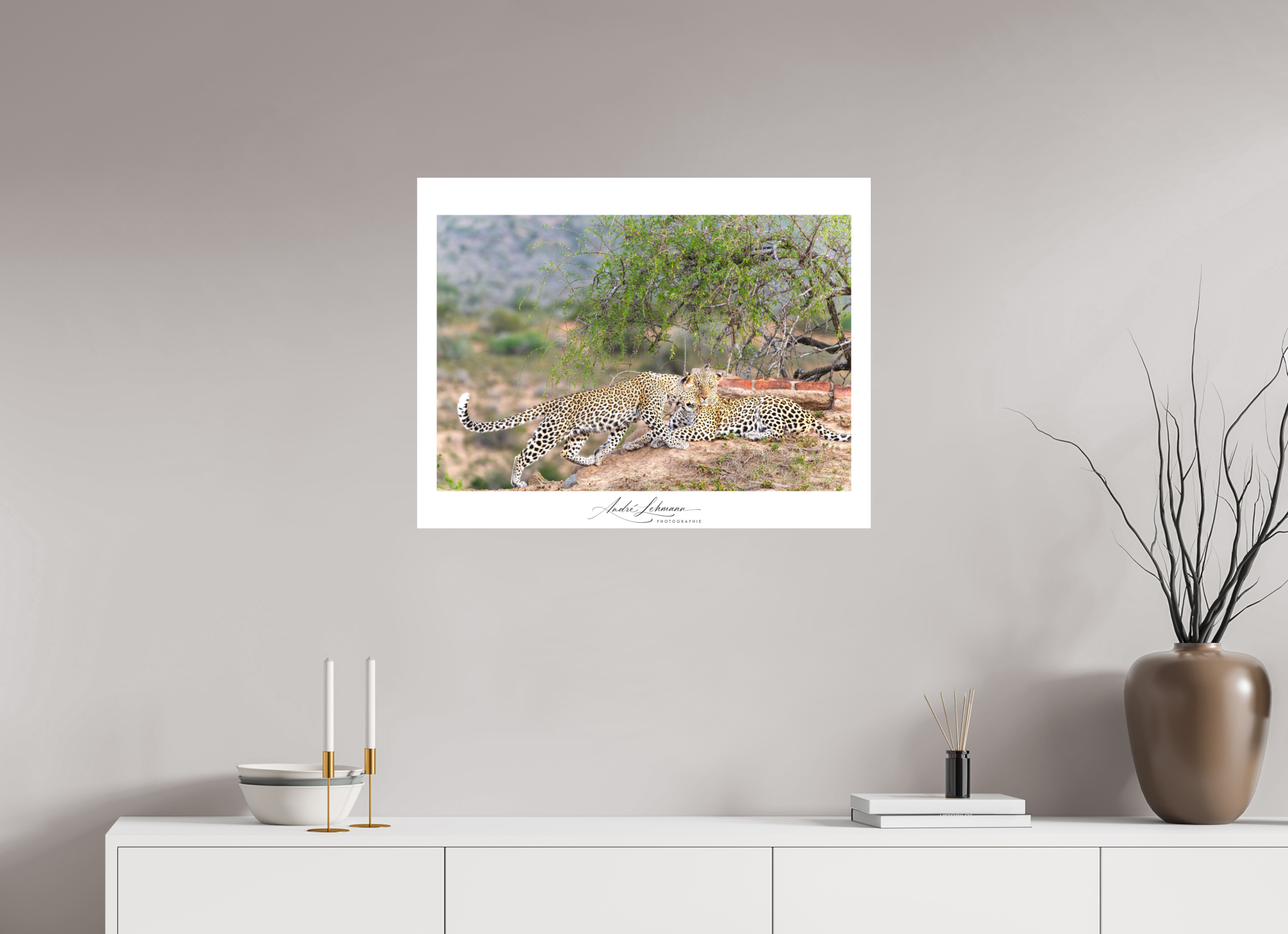 77.6 x 60 cm, Foto-Druck auf Alu-Dibond Two Leopards (Alu Dibond)