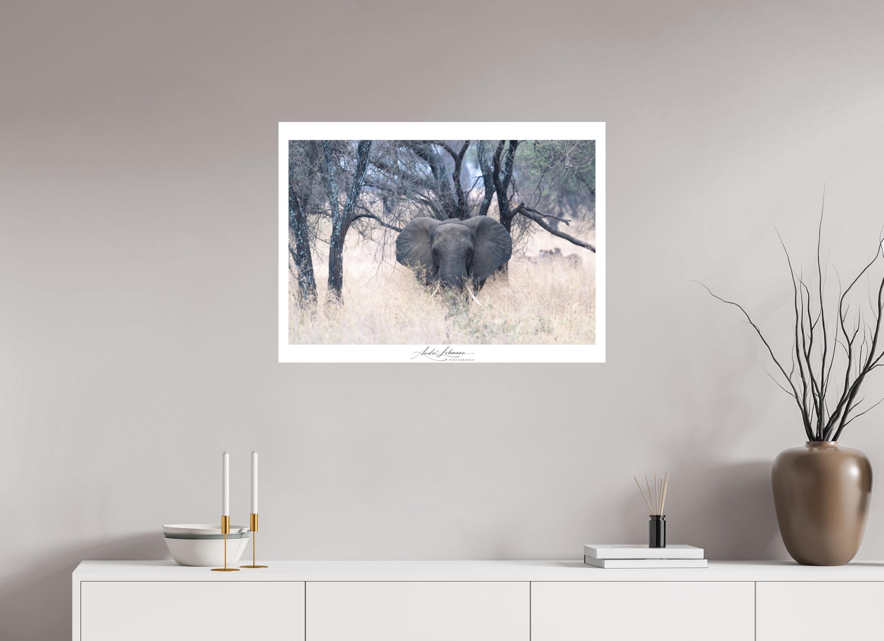 81.5 x 60 cm, Foto-Druck auf Alu-Dibond African Elephant