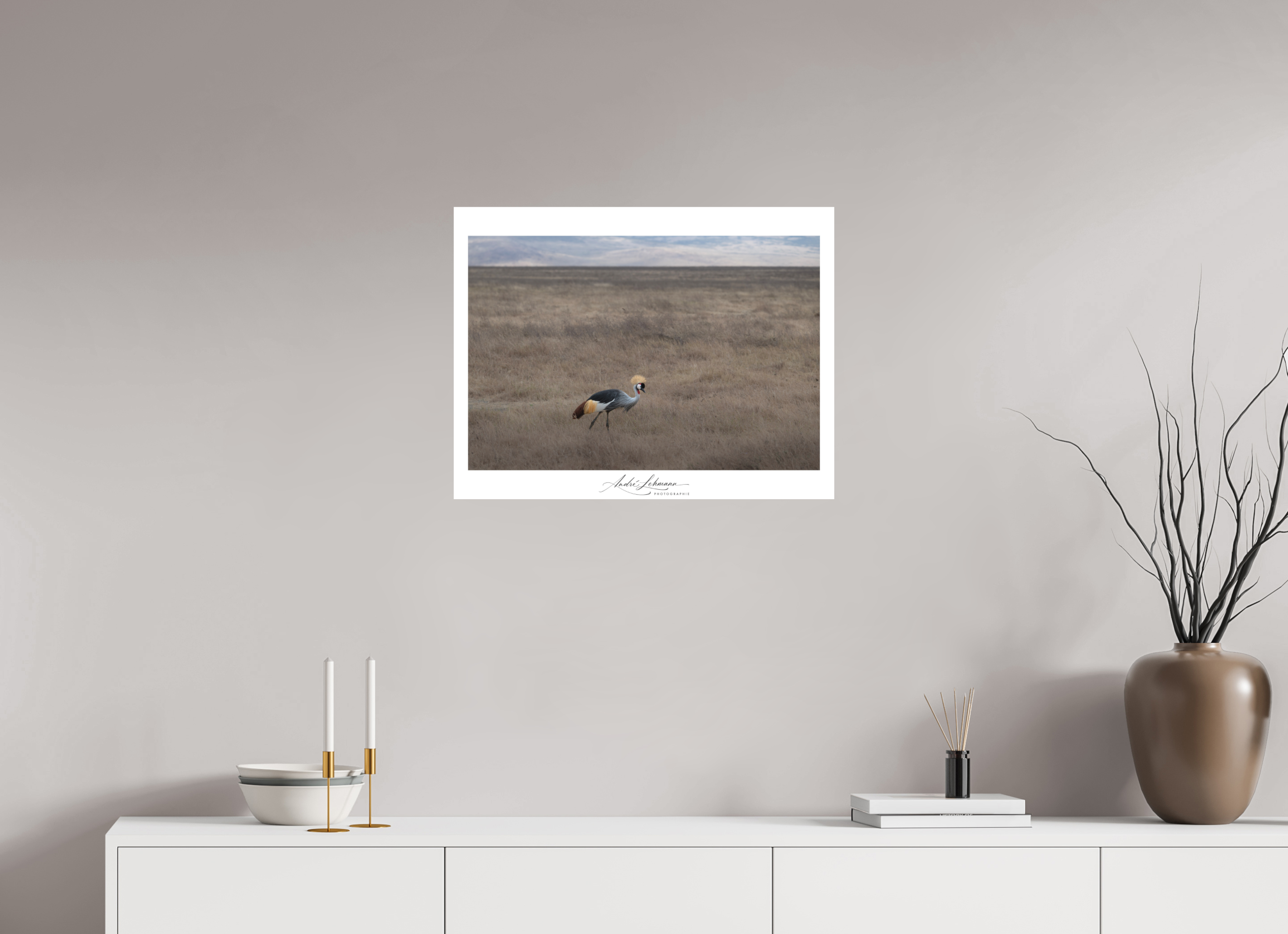 65.1 x 50 cm, Foto-Druck auf Alu-Dibond Grey crowned Crane (Alu Dibond)