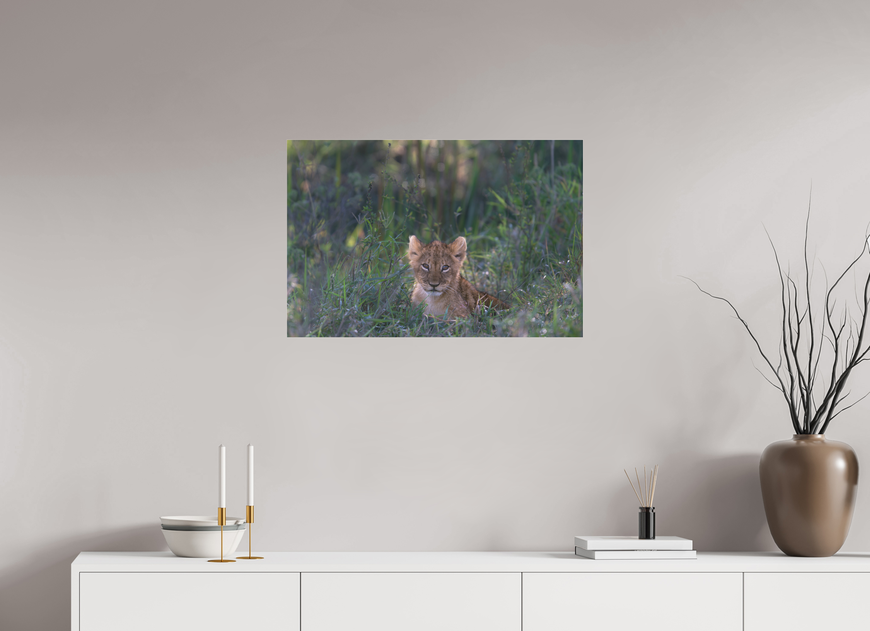 75 x 50 cm, Photo Print Under Acrylic Glass Lionb cub (no frame)