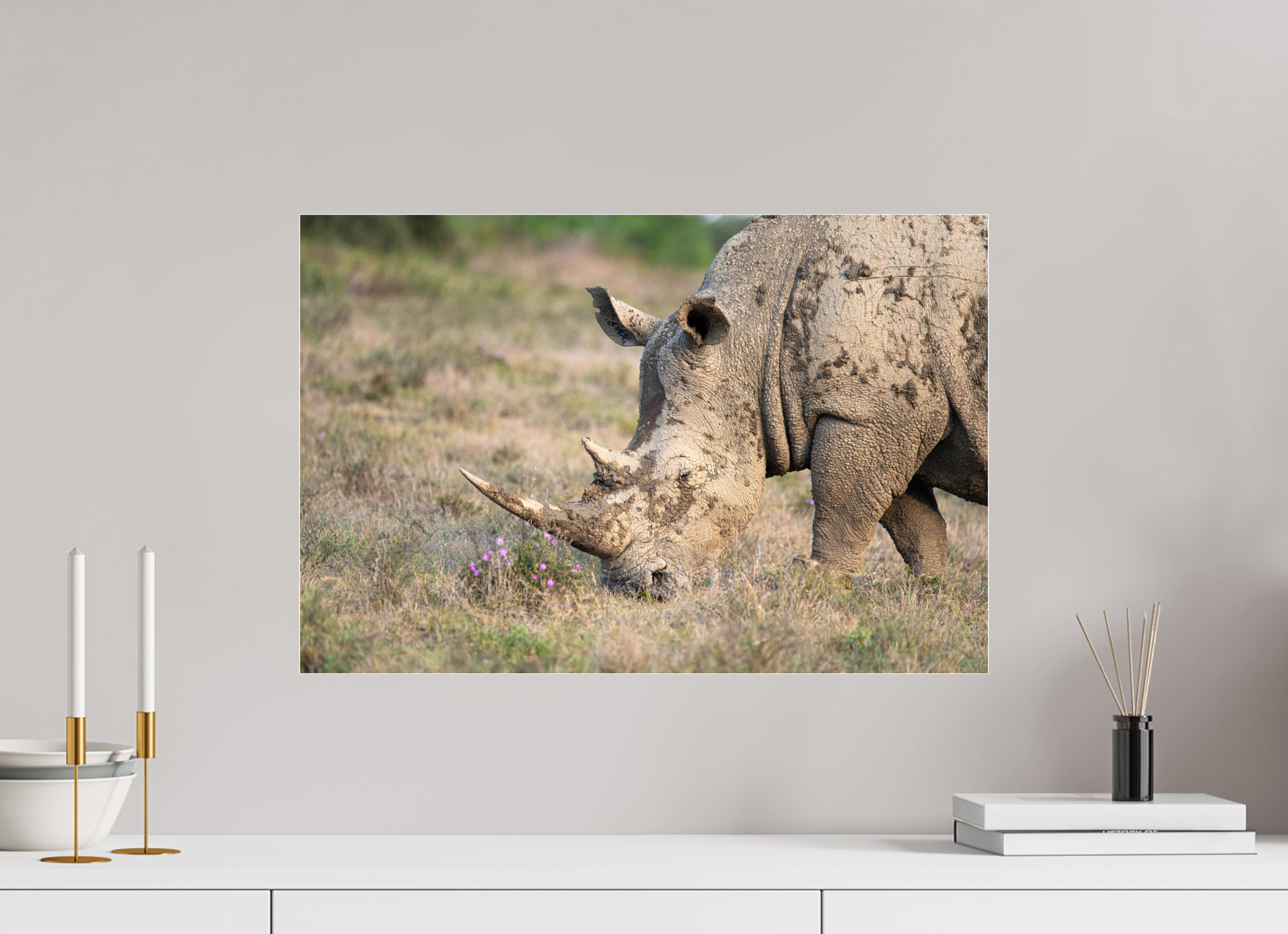 60 x 40 cm, Photo Print Under Acrylic Glass Rhino (no frame)