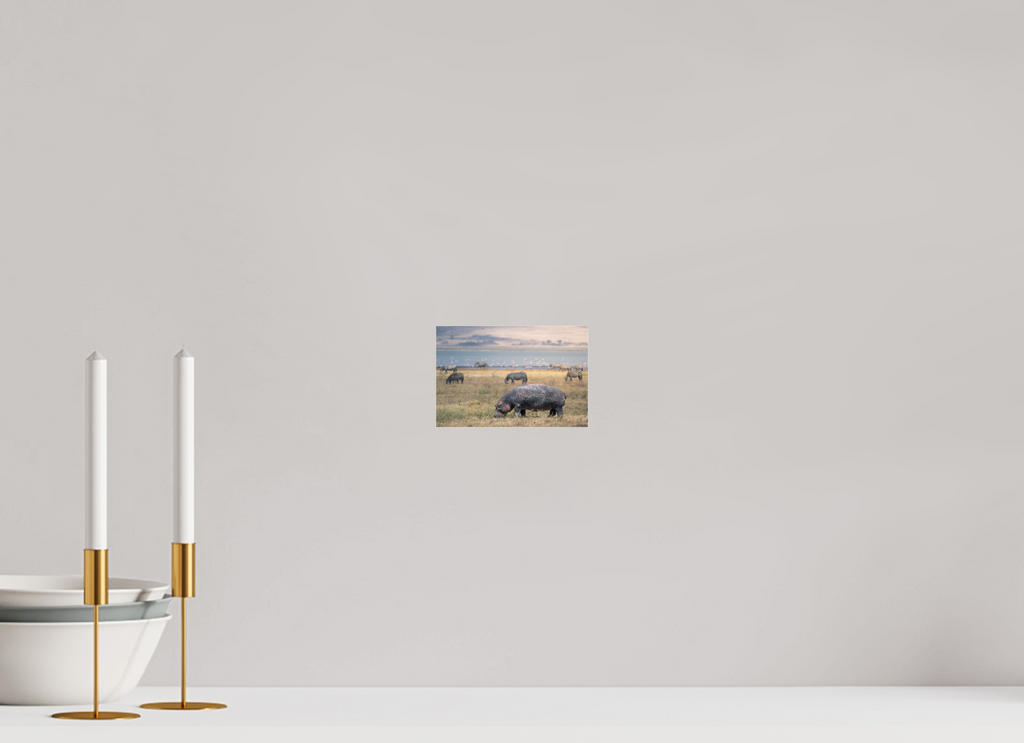 15 x 10 cm, Photo Print Under Acrylic Glass Hippo out of the water