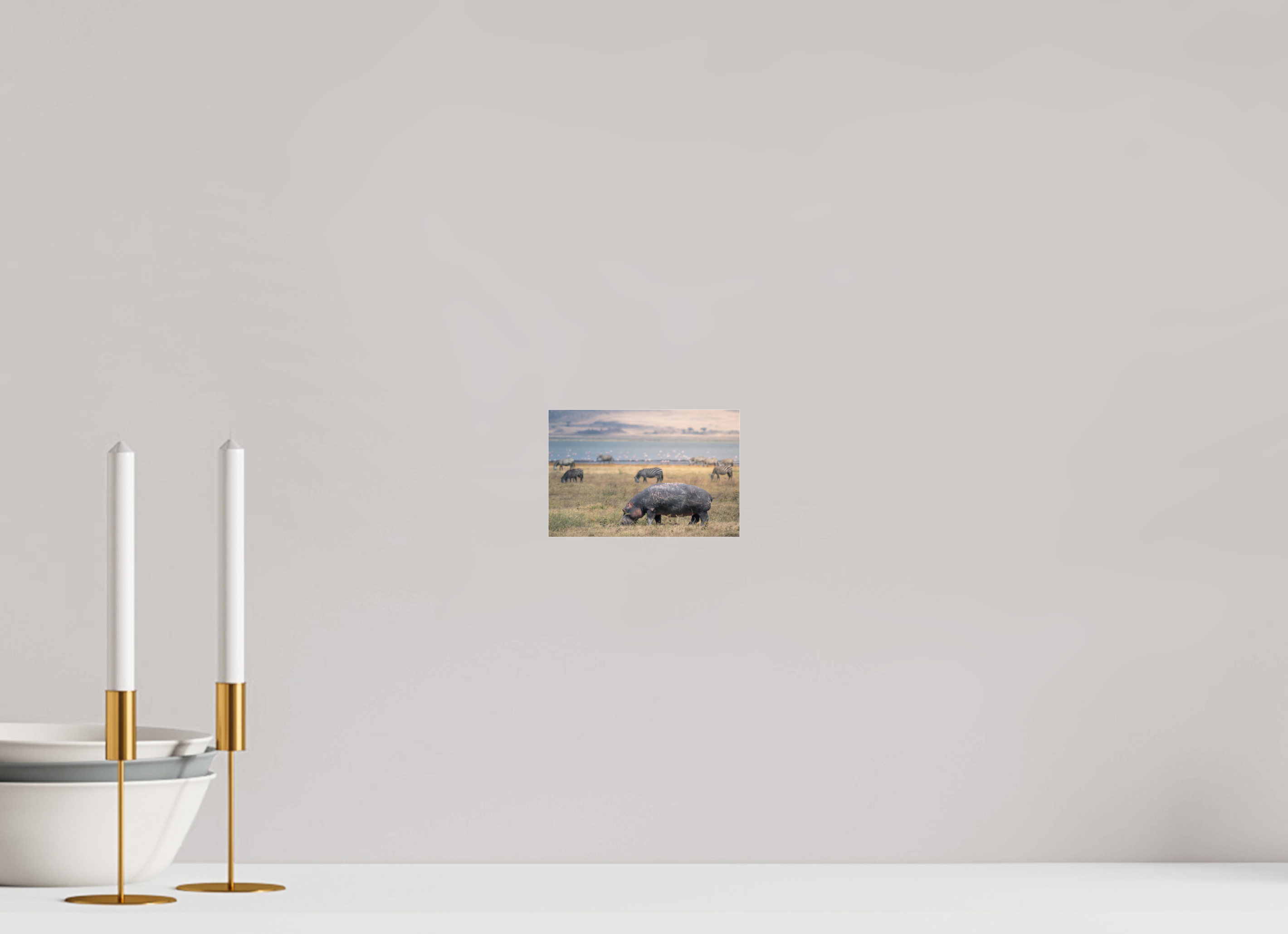 15 x 10 cm, Photo Print Under Acrylic Glass Hippo out of the water