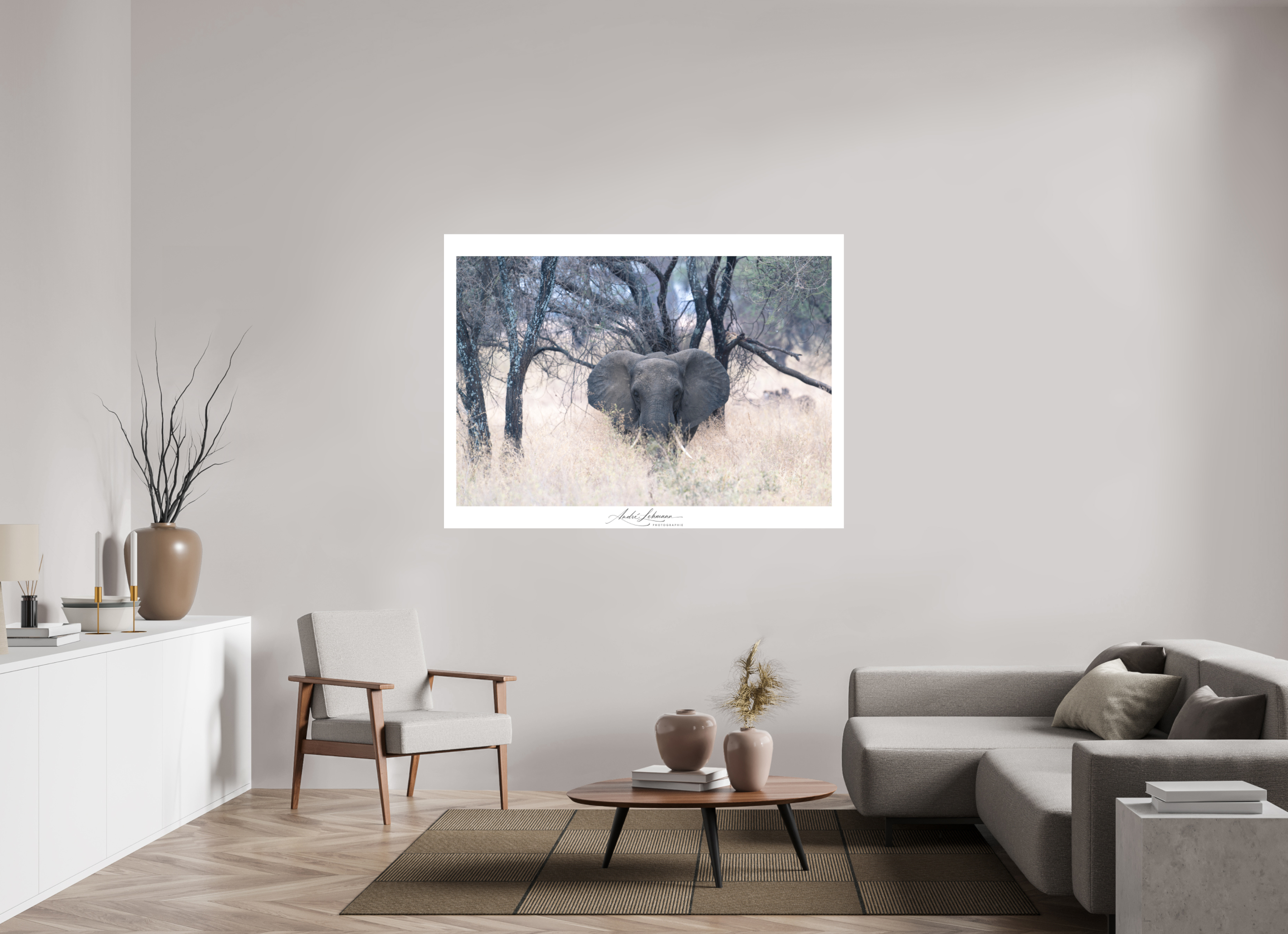 163.1 x 120 cm, Foto-Druck auf Alu-Dibond African Elephant