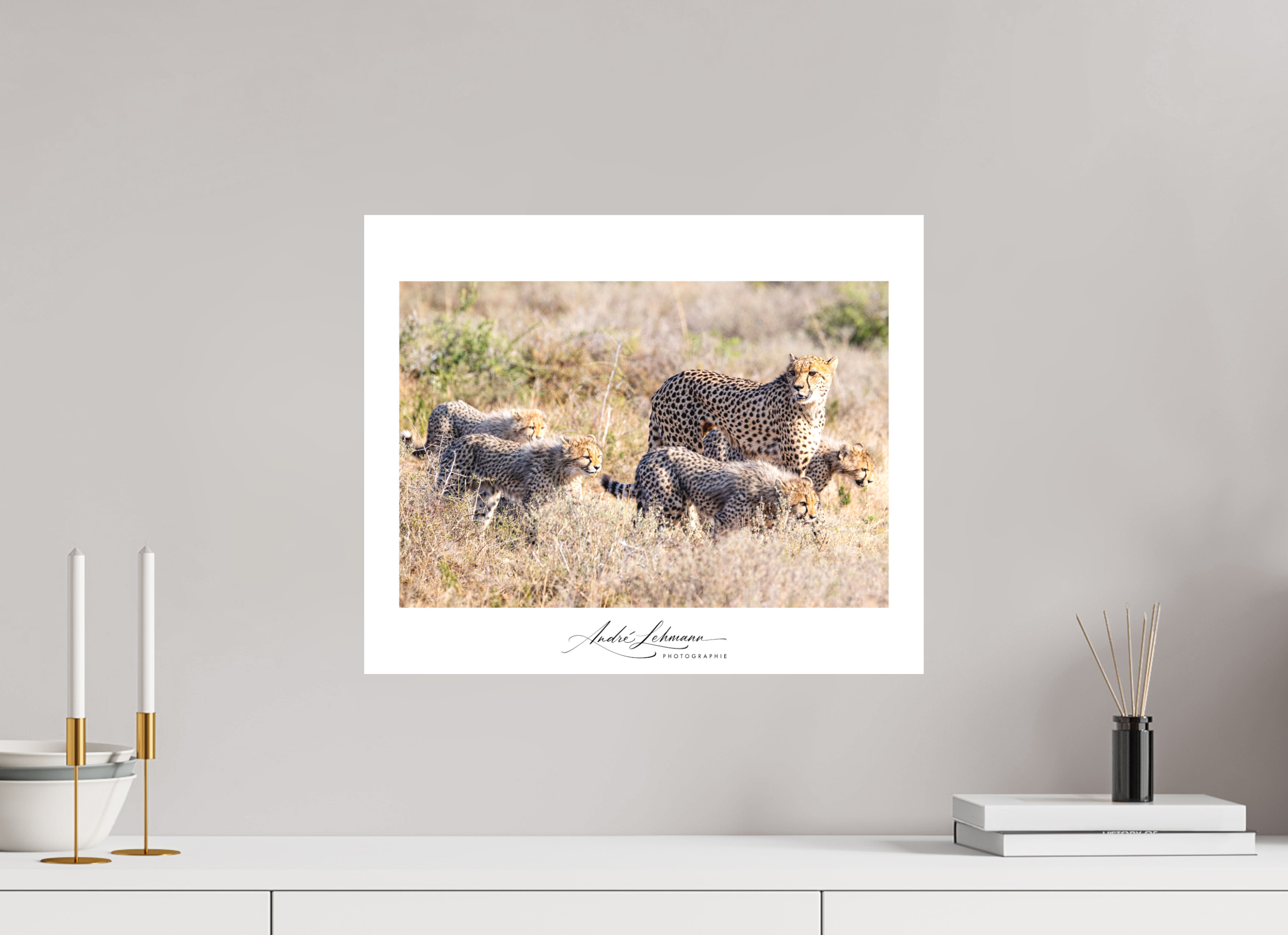 48.8 x 40 cm, Foto-Druck auf Alu-Dibond Cheetah and her cubs
