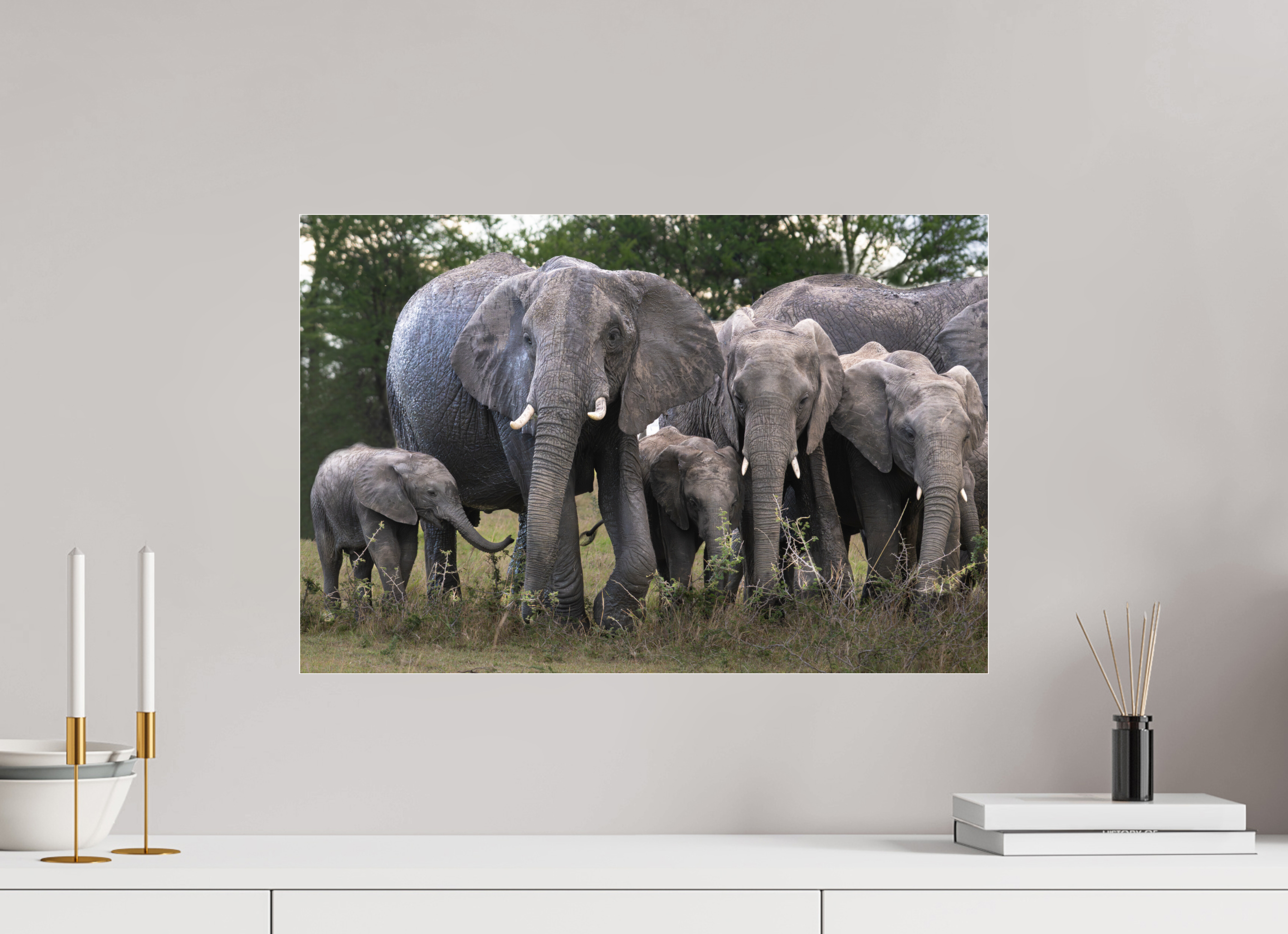 60 x 40 cm, Photo Print Under Acrylic Glass Happy Elephant family (no frame)