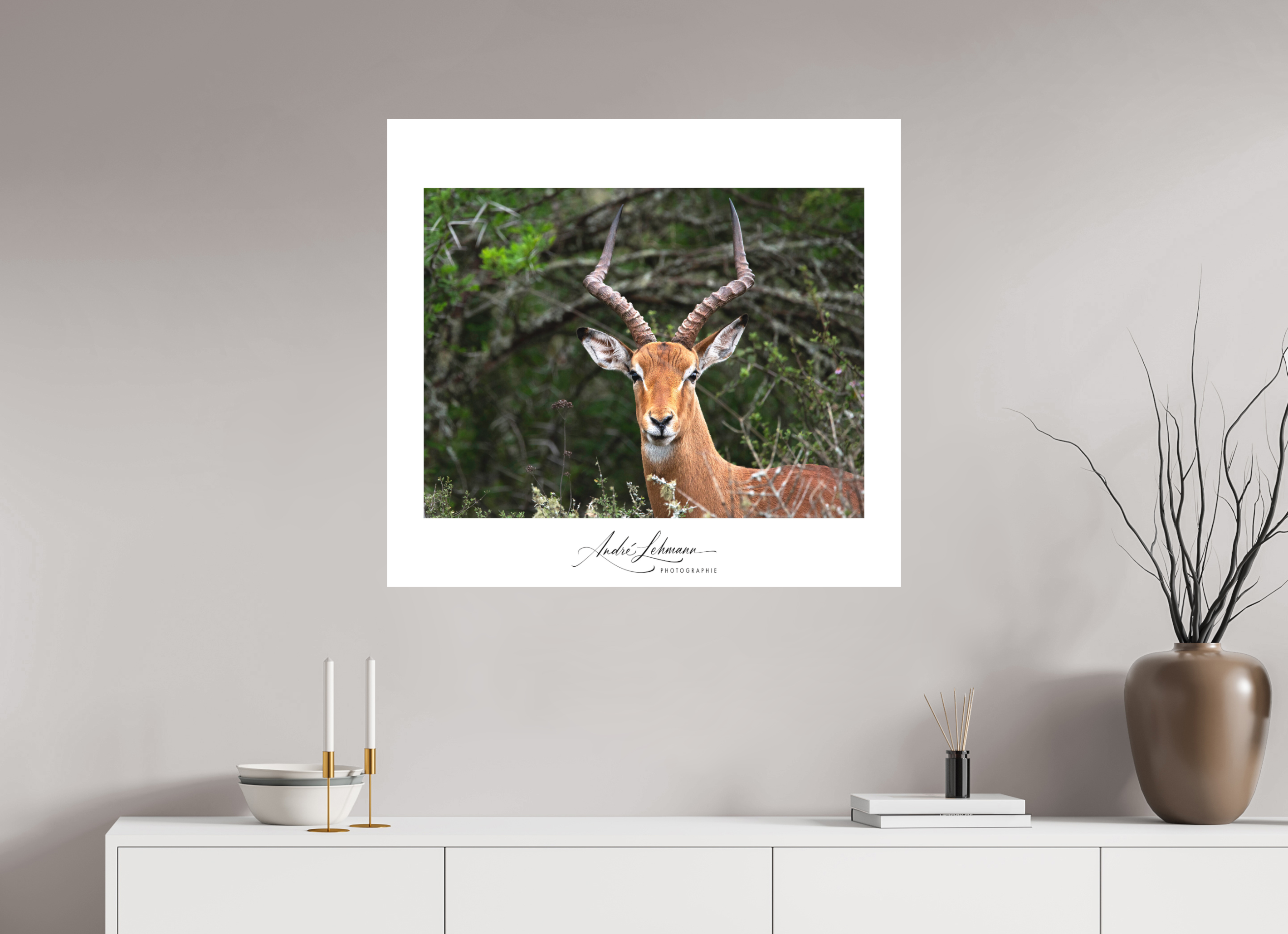 87.9 x 80 cm, Foto-Druck auf Alu-Dibond Impala (Alu Dibond)