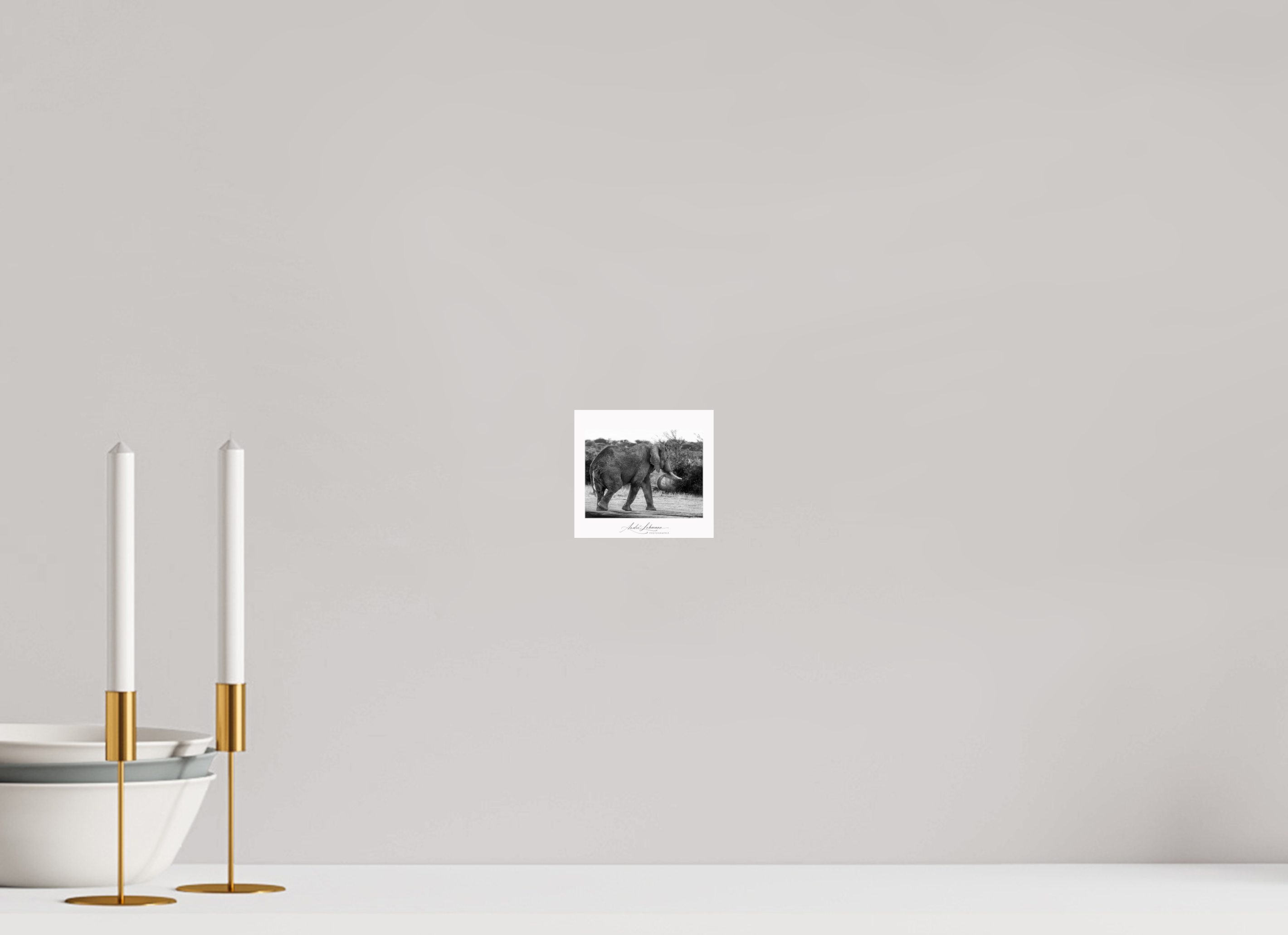 10.9 x 10 cm, Photo Print Under Acrylic Glass Elephant black and white