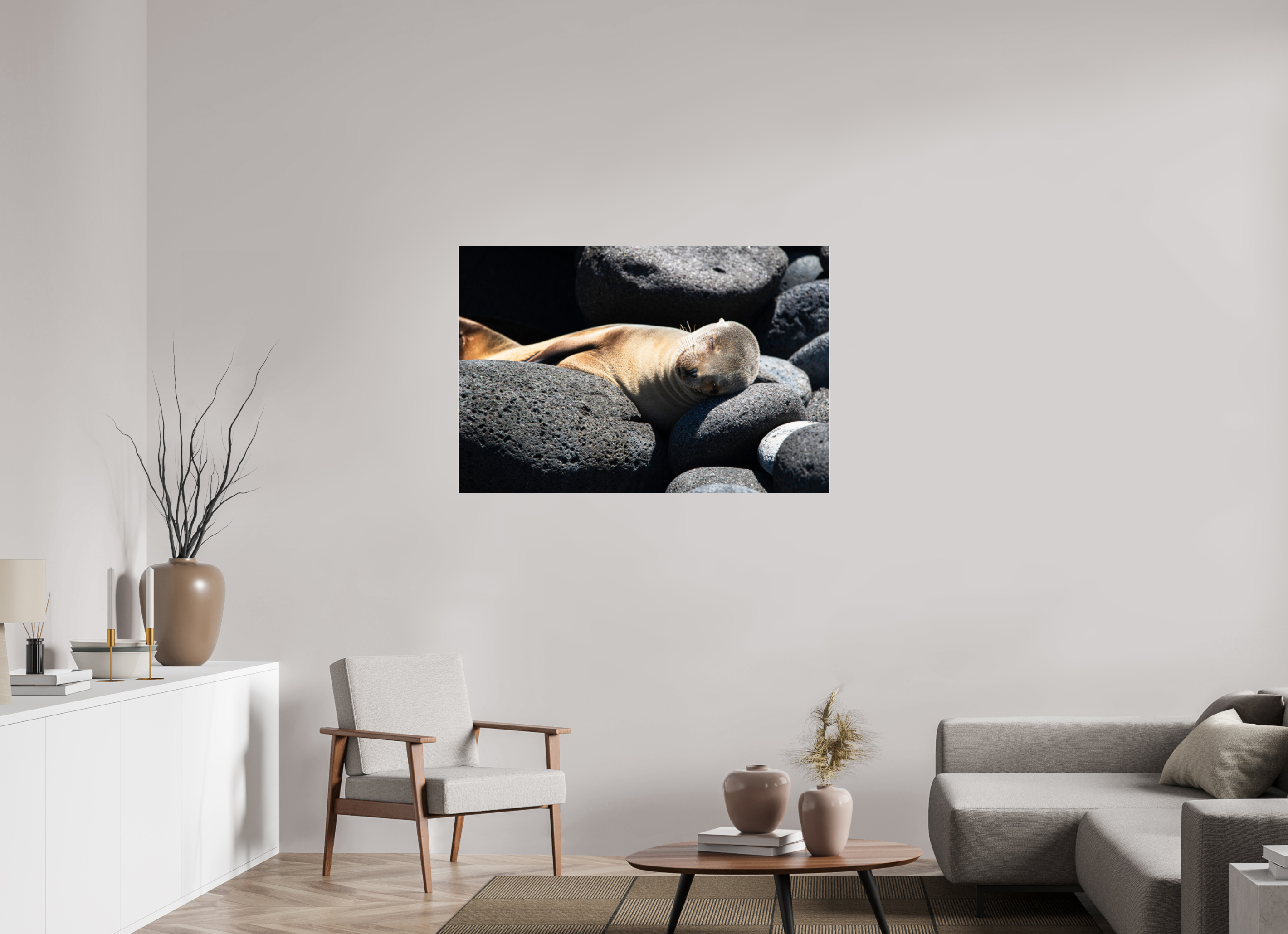 120 x 80 cm, Photo Print Under Acrylic Glass Galapagos Sea Lion